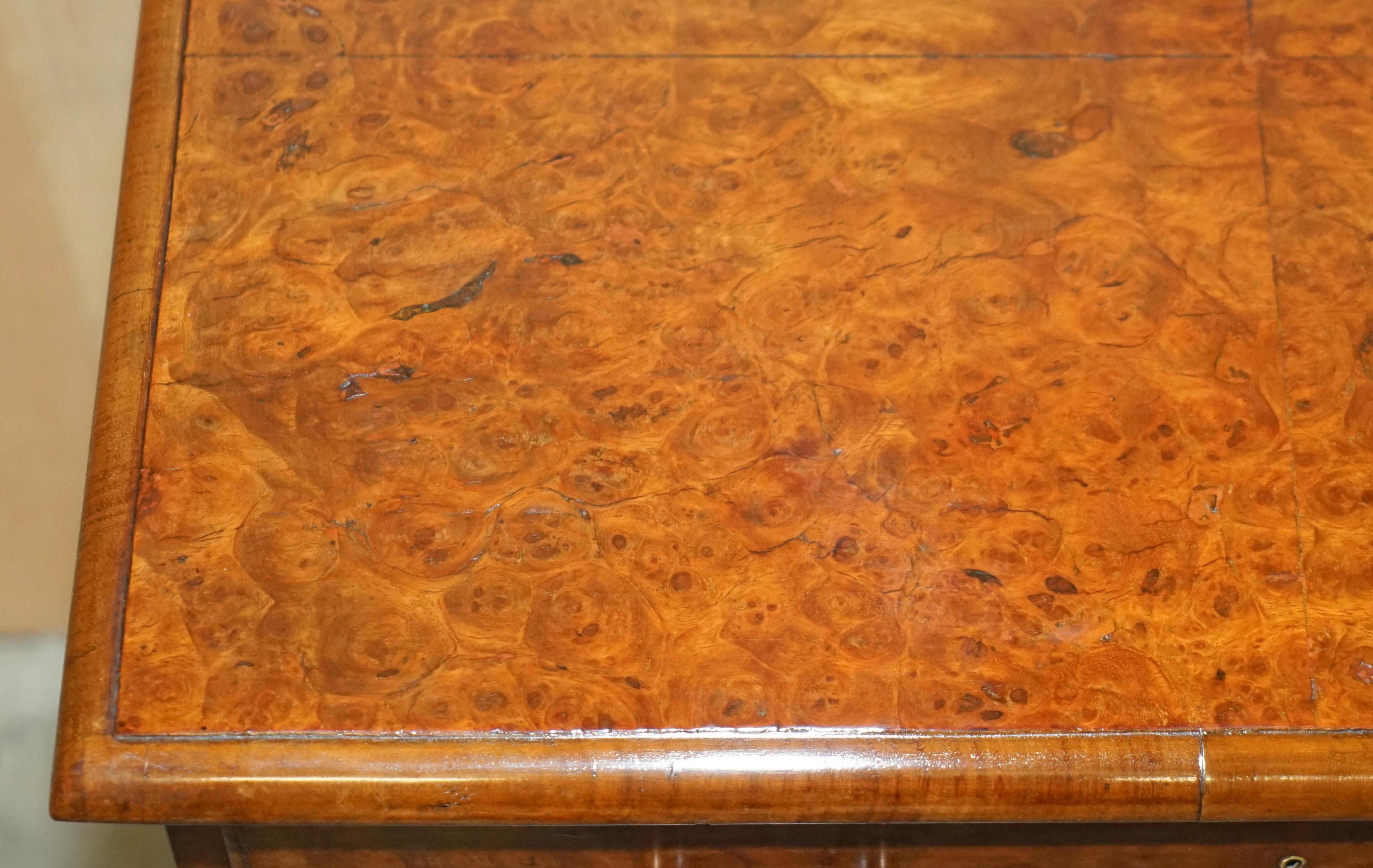 SUPER FiNE FULLY RESTORED ANTIQUE GEORGIAN CIRCA 1780 BURR ELM CHEST OF DRAWERs 6