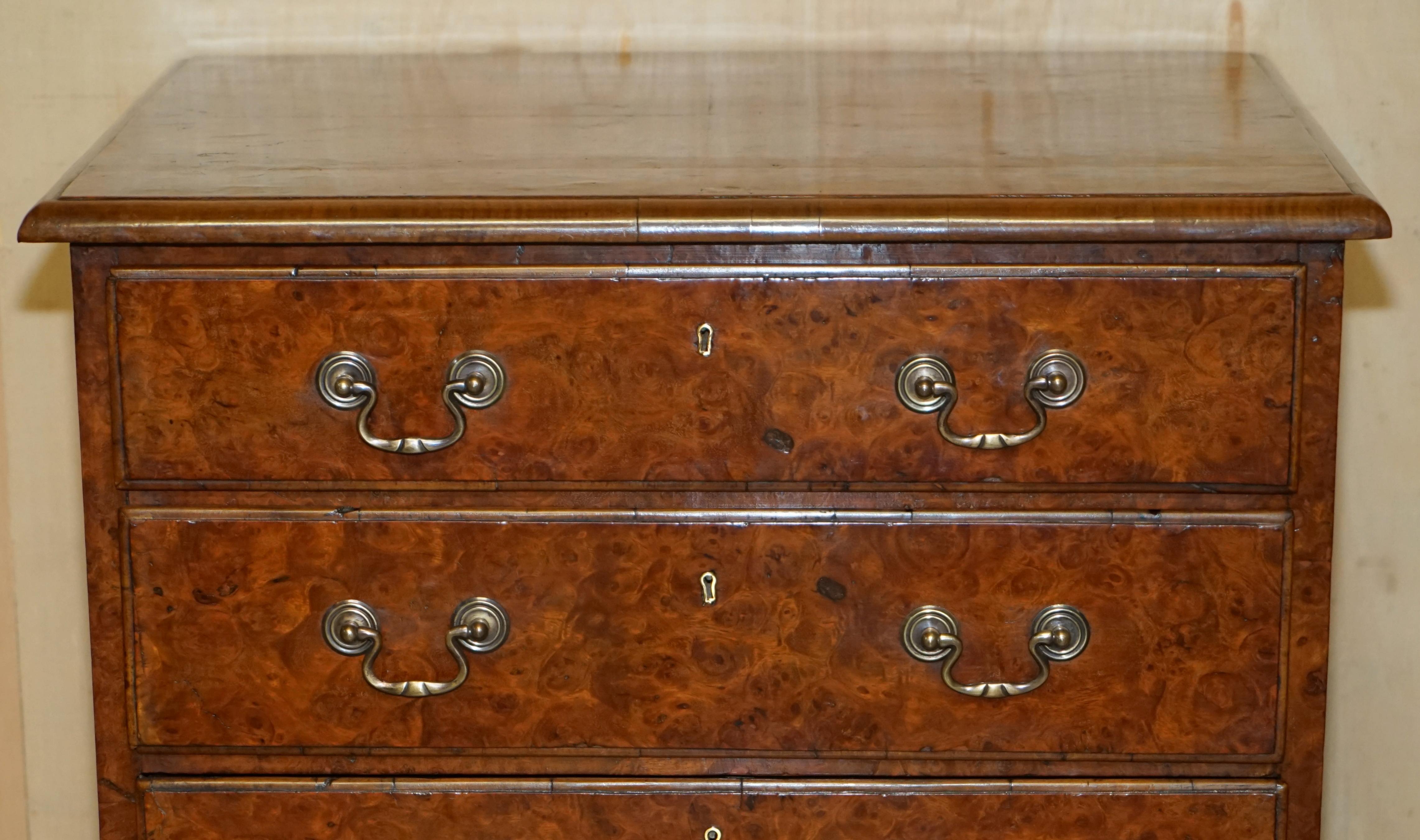 English SUPER FiNE FULLY RESTORED ANTIQUE GEORGIAN CIRCA 1780 BURR ELM CHEST OF DRAWERs