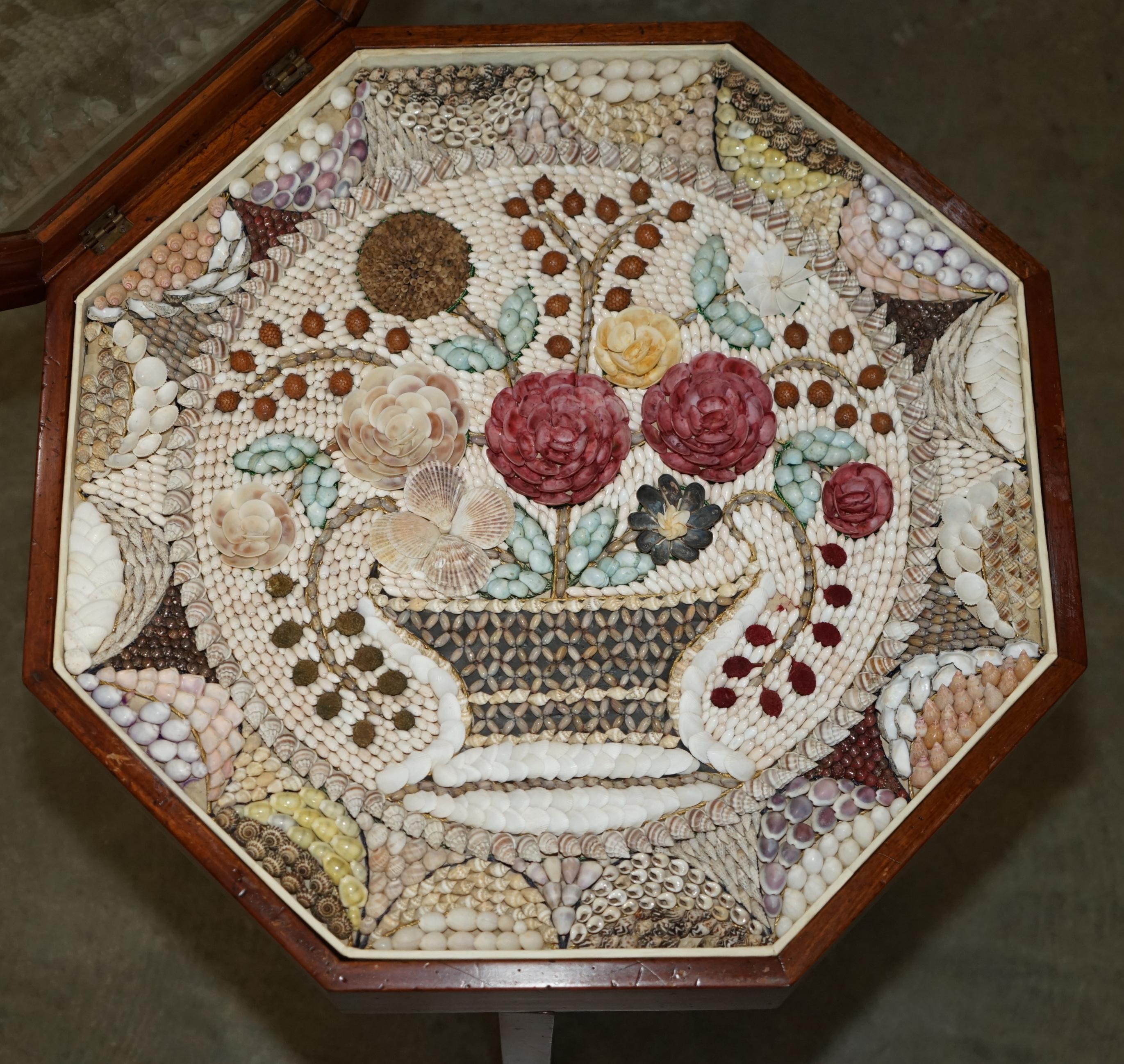 SUPER RARE ViNTAGE HIGHLY COLLECTable SAILOR'S VALENTINE SHELL DISPLAY TABLE im Zustand „Gut“ im Angebot in West Sussex, Pulborough