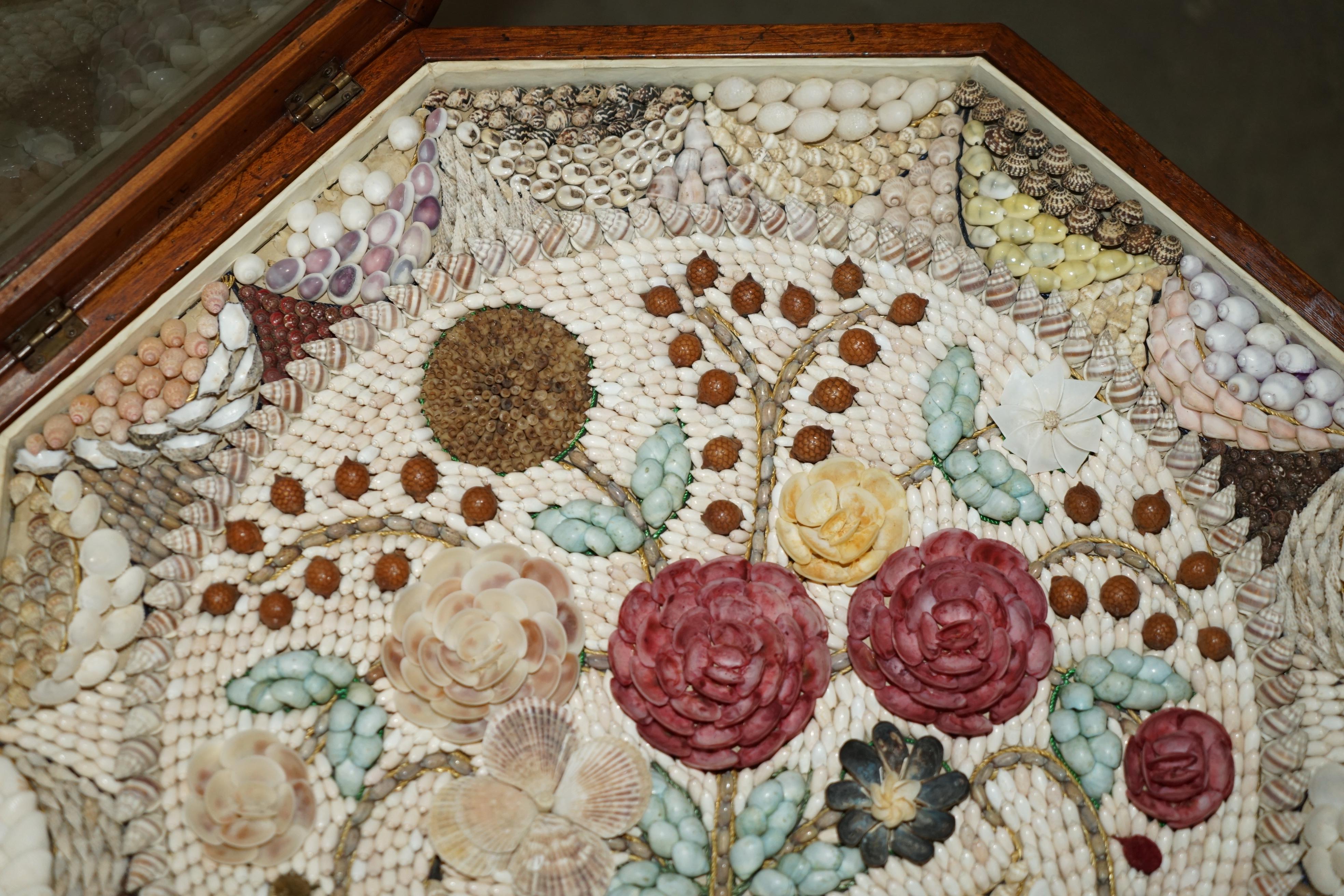 SUPER RARE ViNTAGE HIGHLY COLLECTable SAILOR'S VALENTINE SHELL DISPLAY TABLE (Muschel) im Angebot