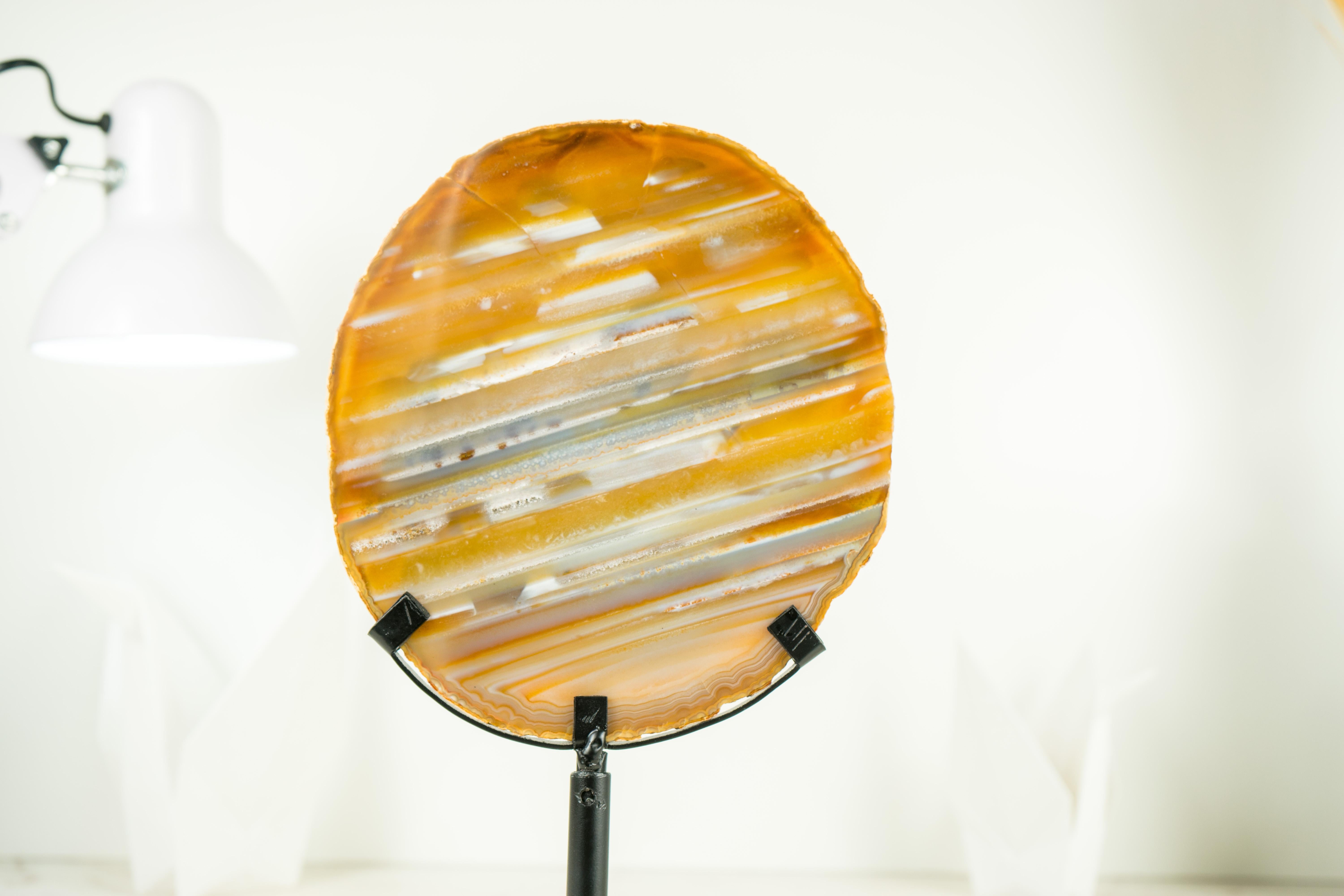 Gallery Grade Yellow, Blue, and White Agate Geode Slice with Horizontal Water-Lines Bandings

▫️ Description

An agate yet to be described in the Agate World, this Agate Slice from Bahia brings gorgeous aesthetics, resulting in one of the rarest