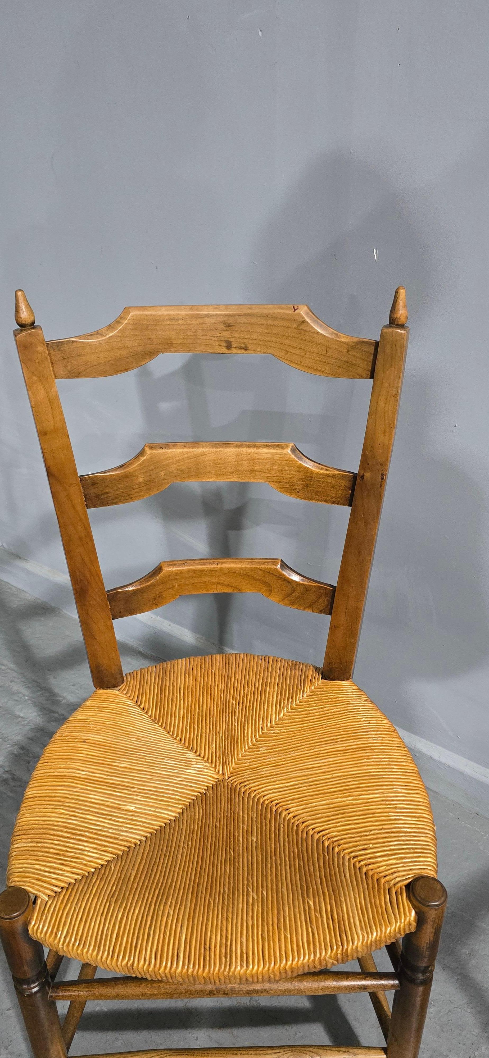 Super Set Eight French Dining Chairs siglo XIX en venta