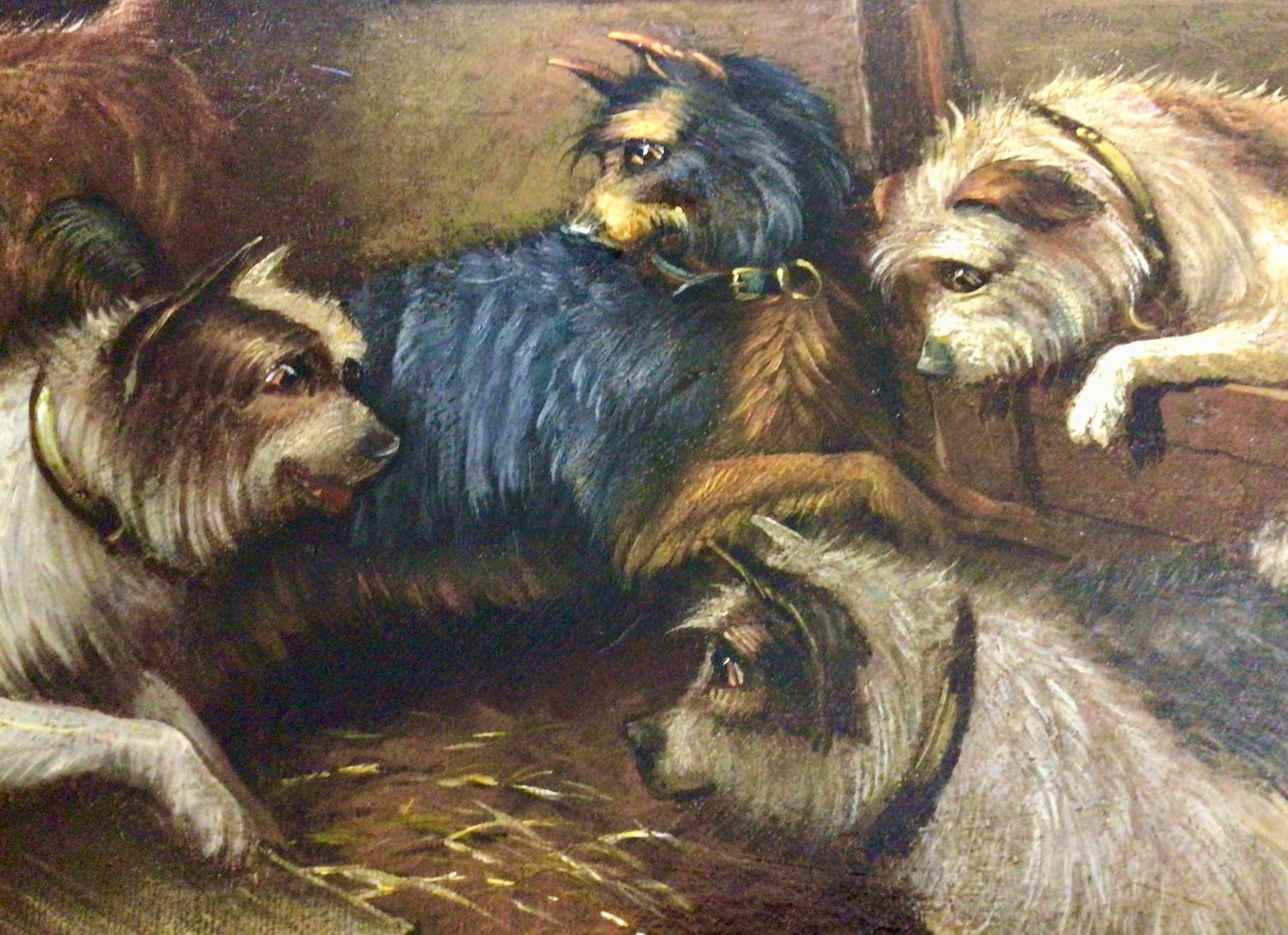 Super Victorian Oil Painting of Five Terriers in A Barn by George Armfield 4