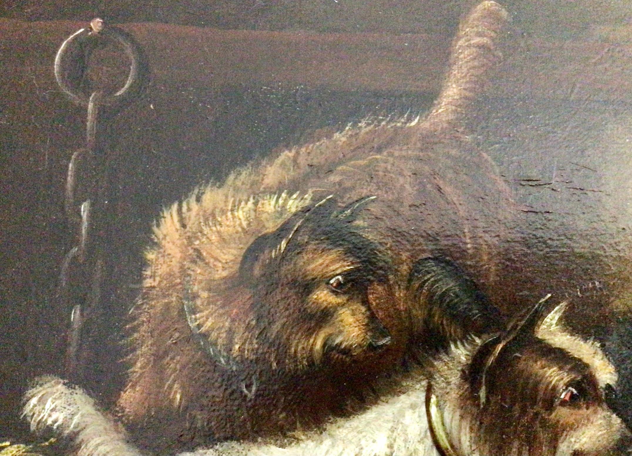 Super Victorian Oil Painting of Five Terriers in A Barn by George Armfield 1