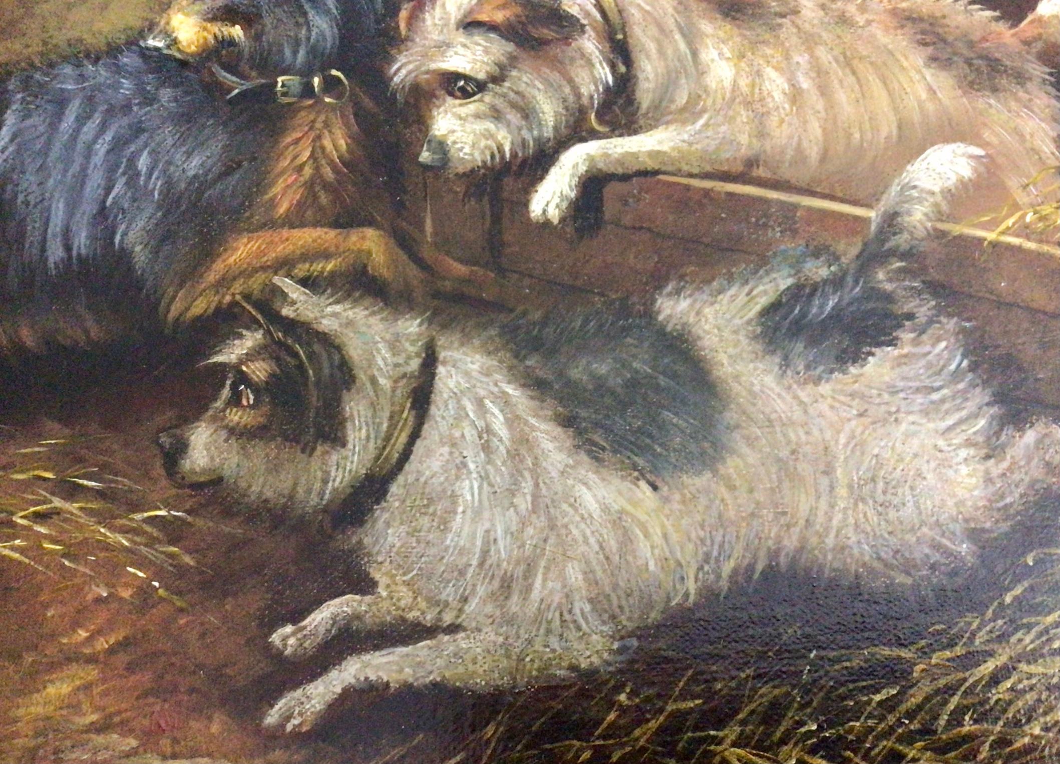 Super Victorian Oil Painting of Five Terriers in A Barn by George Armfield 2