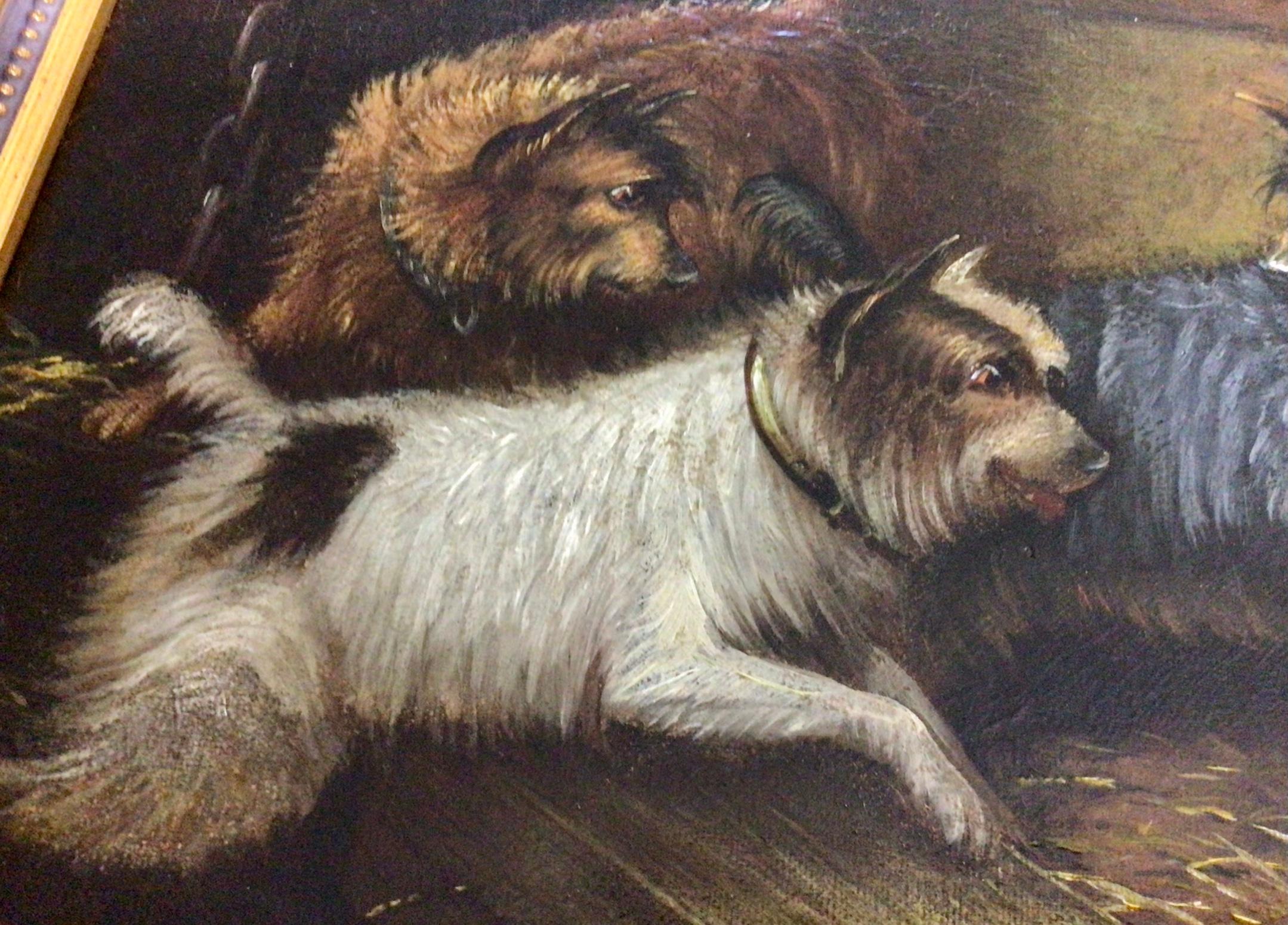 Super Victorian Oil Painting of Five Terriers in A Barn by George Armfield 3