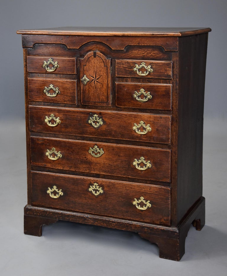 Superb 18th Century Oak Norfolk Chest with Excellent Patina For Sale at