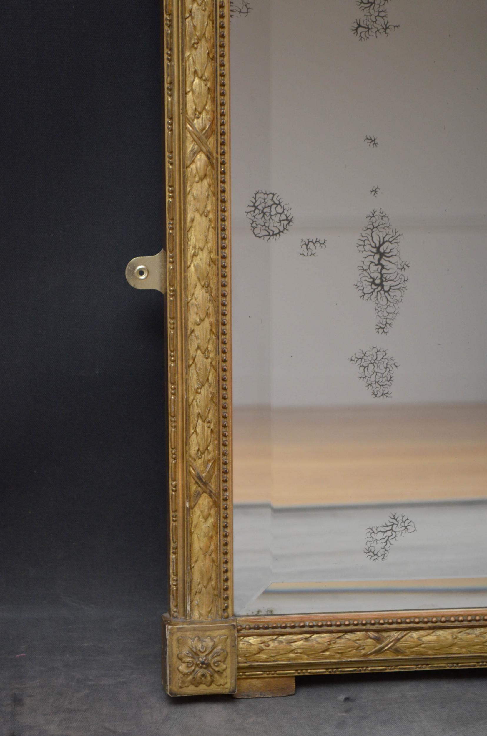 French Superb 19th Century Giltwood Mirror