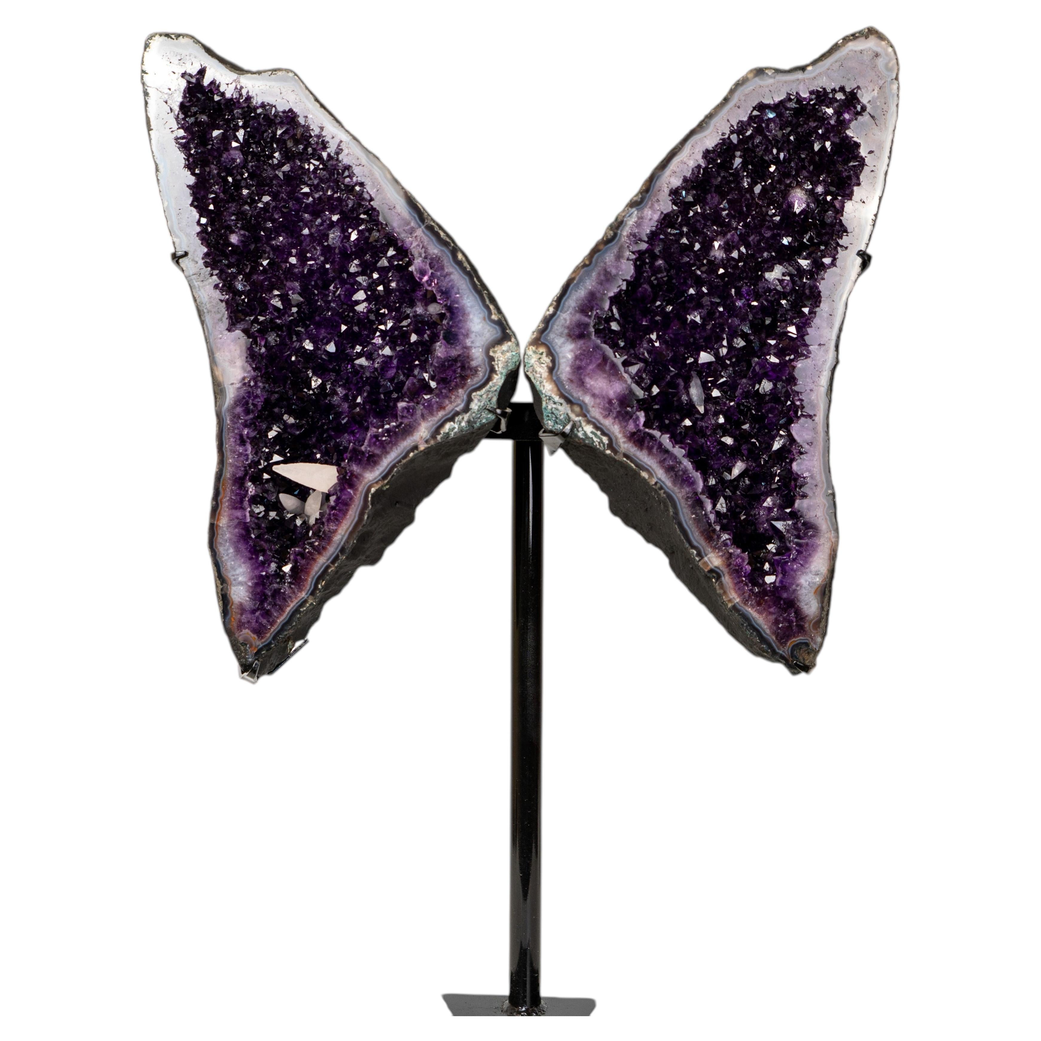 Superb Amethyst Butterfly Wings For Sale