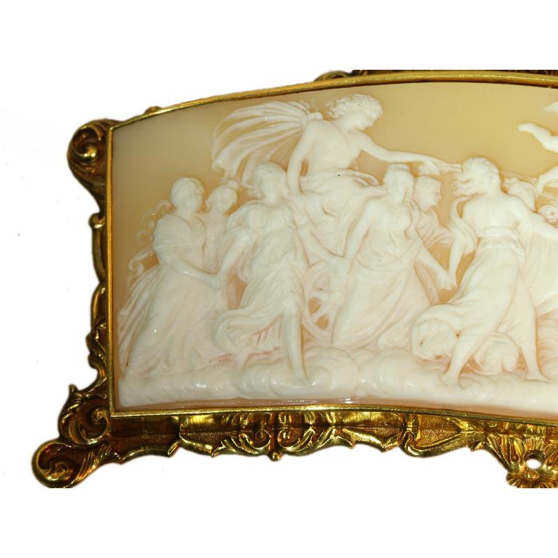  Superb Baroque Style French Cameo with Gold Mounting 5
