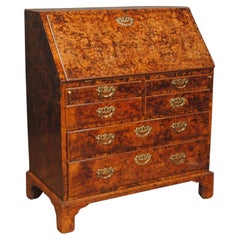 Antique Superb Burr 'Mulberry' Bureau