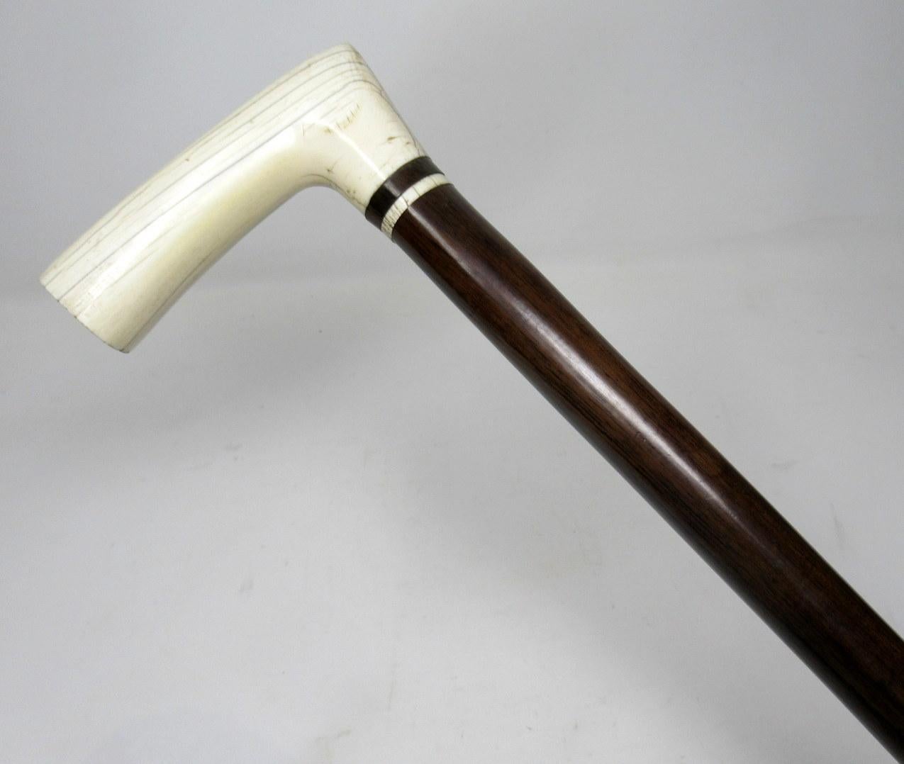 Superb well grained rosewood walking cane of outstanding quality and of English origin, early to mid-19th century.

The “L” shaped carved bone handle above a dark rosewood tapering shaft with original bone unusually long ferrule.

Condition: Good