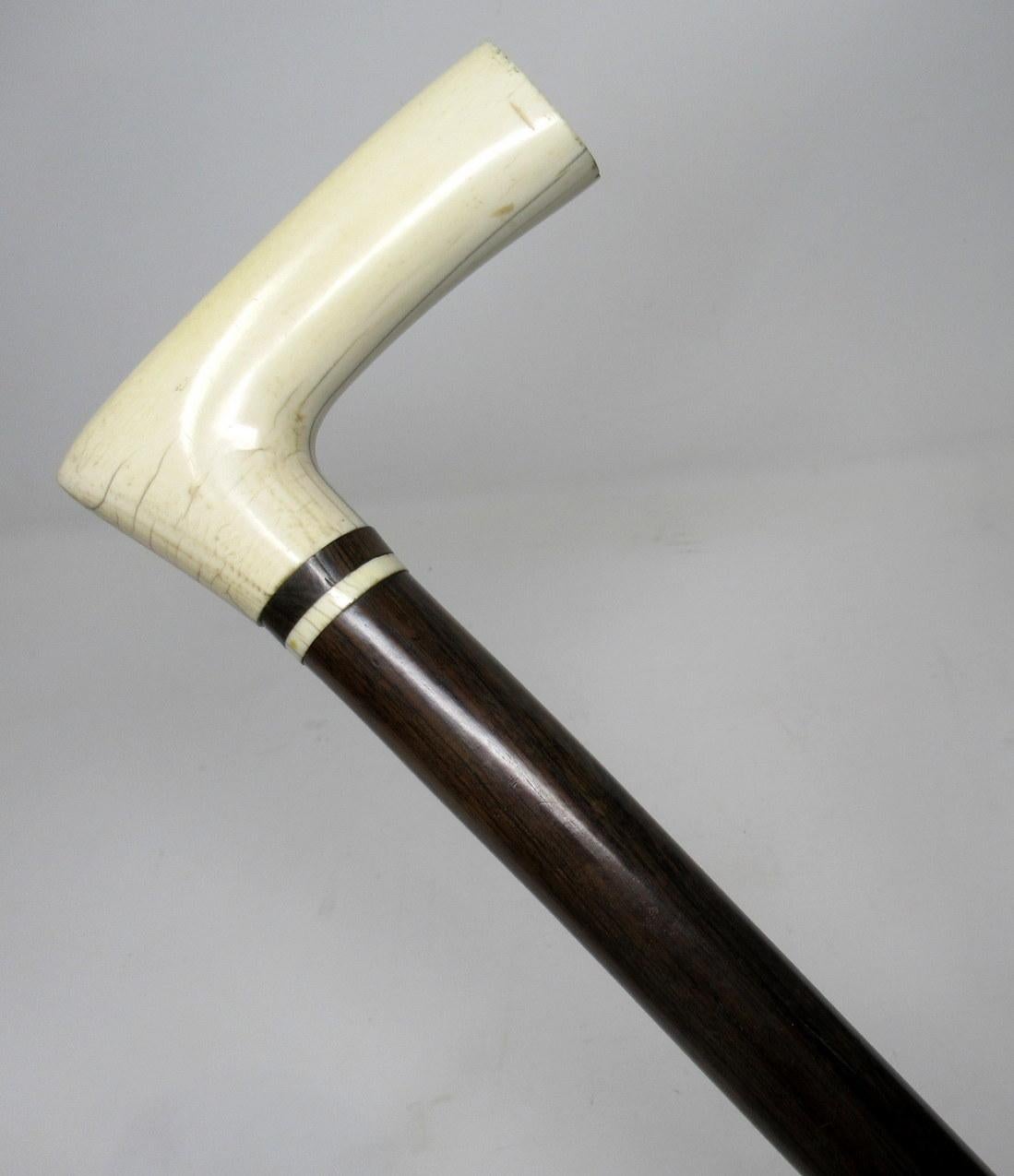 Superb Carved Bone and Rosewood L-Shaped Walking Stick Cane, 19th Century In Good Condition In Dublin, Ireland