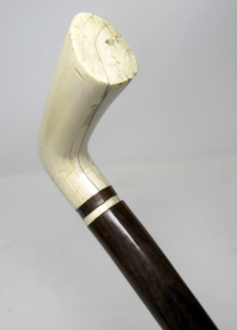 Superb Carved Bone and Rosewood L-Shaped Walking Stick Cane, 19th Century 1