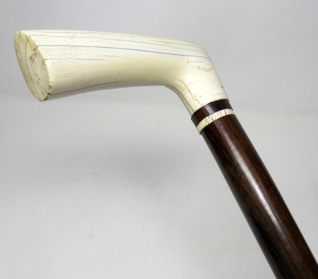 Superb Carved Bone and Rosewood L-Shaped Walking Stick Cane, 19th Century 2