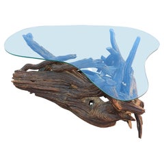 Superb Driftwood Mid-Century Modern Coffee Table with Original Amoeba Glass Top