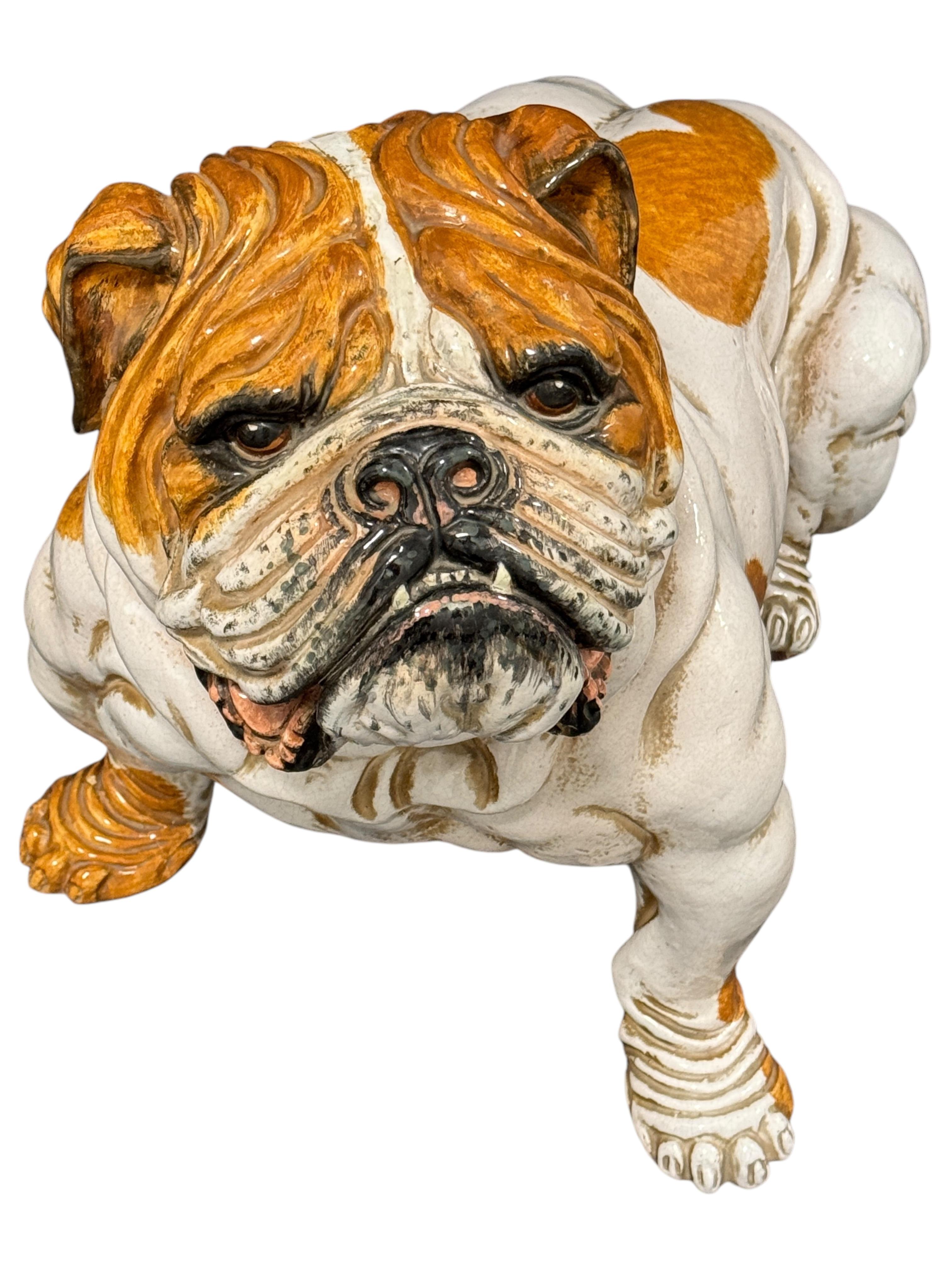 Mid-Century Modern Superb English Bulldog Terracotta Dog Statue Figurine Vintage, Italy 1960s For Sale