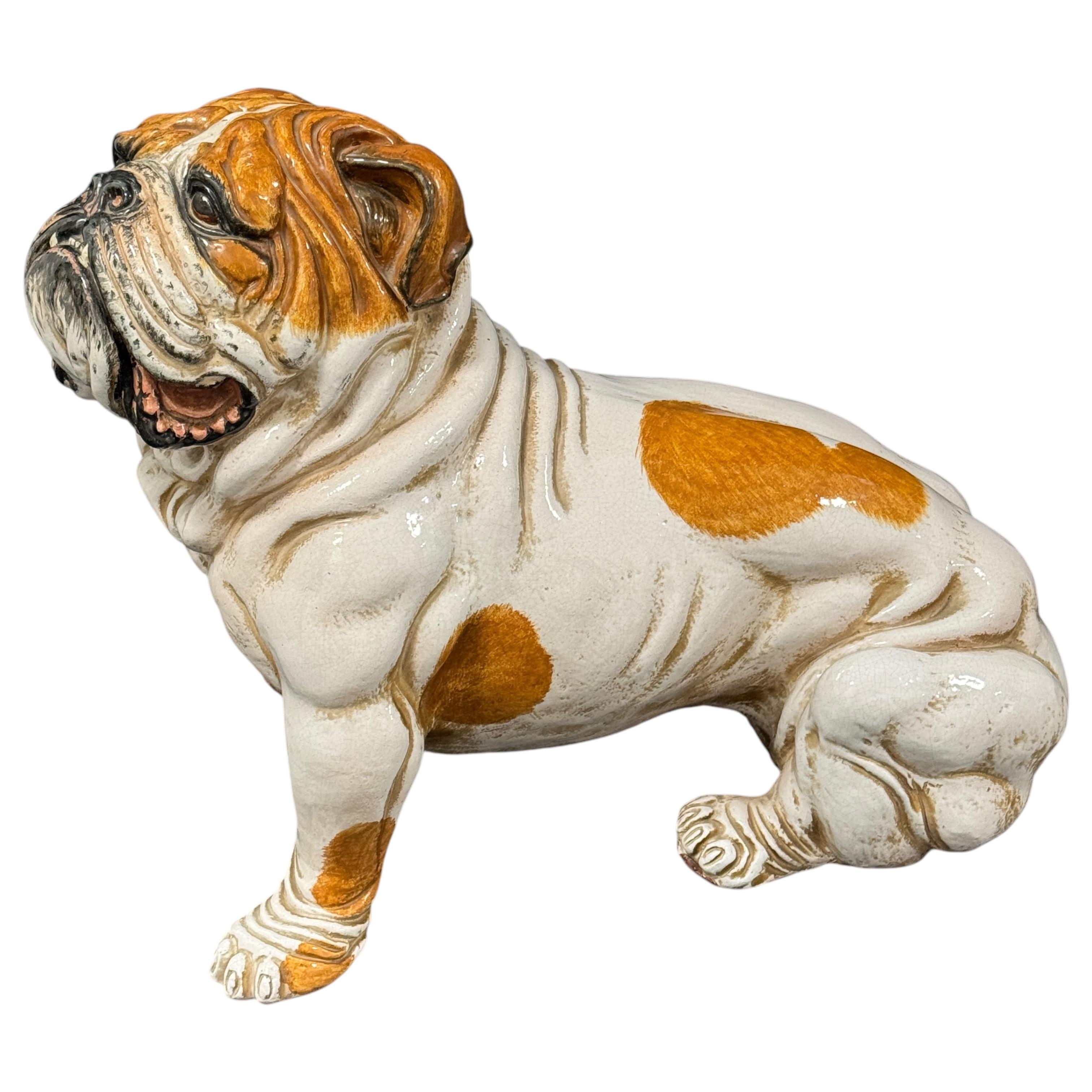 Italian Superb English Bulldog Terracotta Dog Statue Figurine Vintage, Italy 1960s For Sale