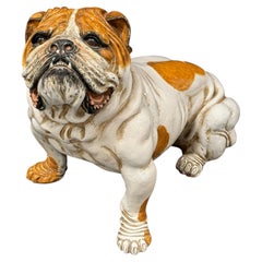Superb English Bulldog Terracotta Dog Statue Figurine Vintage, Italy 1960s