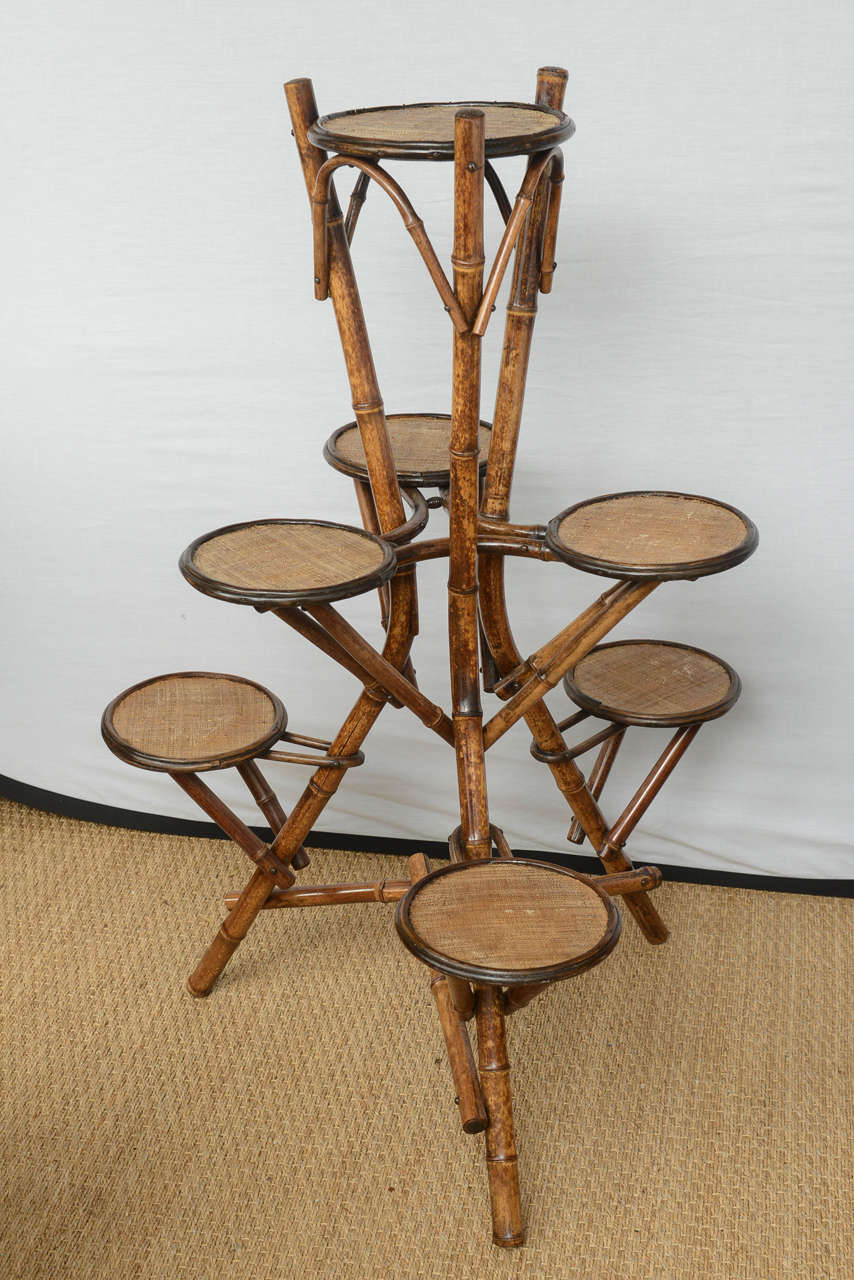 Very original, French Bamboo holder with three tripods and six pots tops.