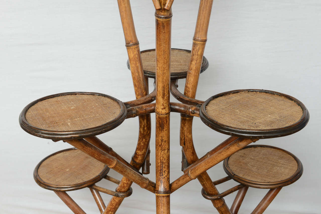1920er Jahre Französisch Bambus Pflanzenhalter im Angebot 5