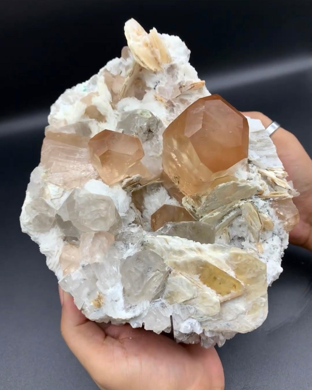 Hervorragende riesige Topas-Kristalle auf Albite mit Quarz und Mica aus Pakistan im Angebot 1