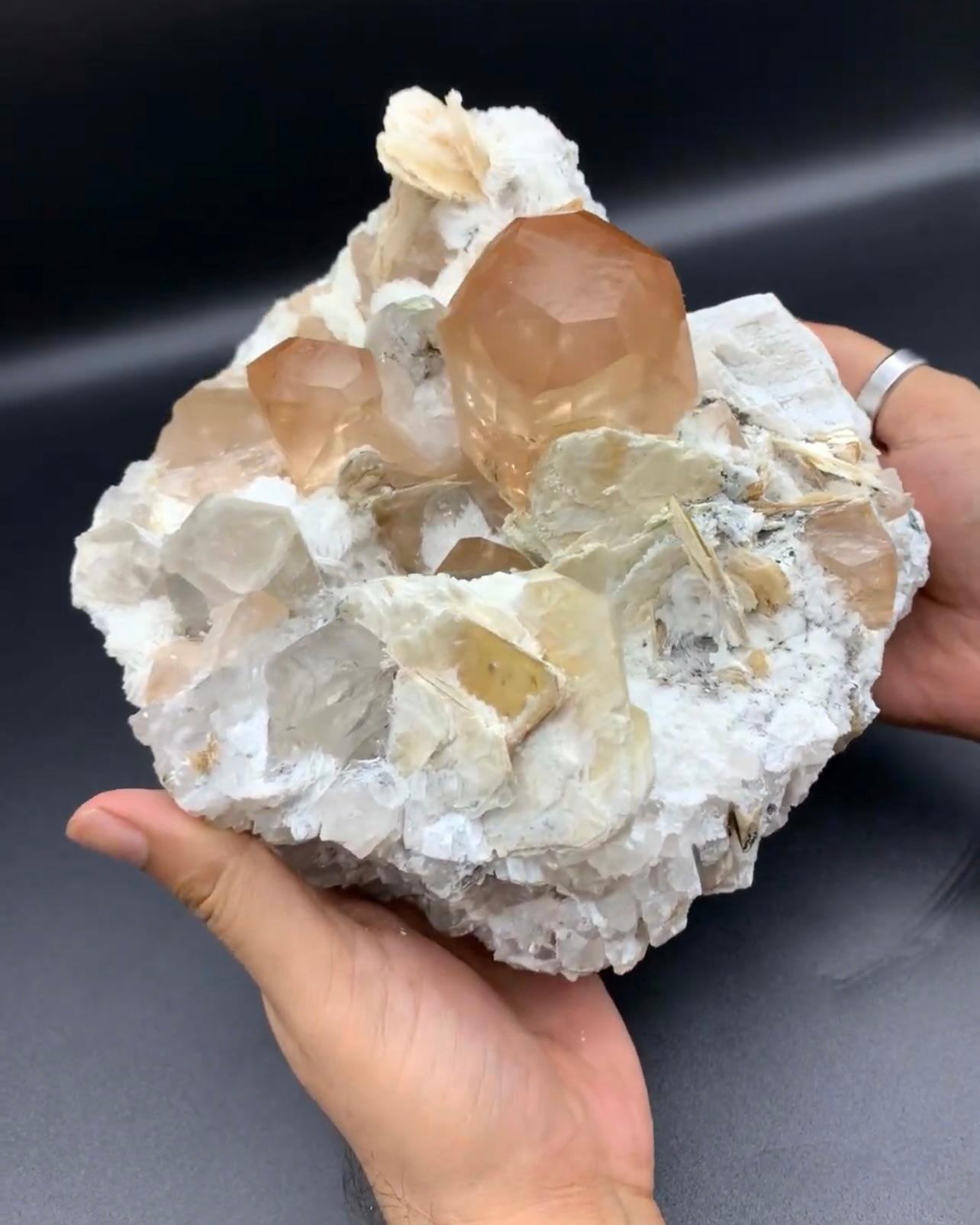 Hervorragende riesige Topas-Kristalle auf Albite mit Quarz und Mica aus Pakistan im Angebot 2
