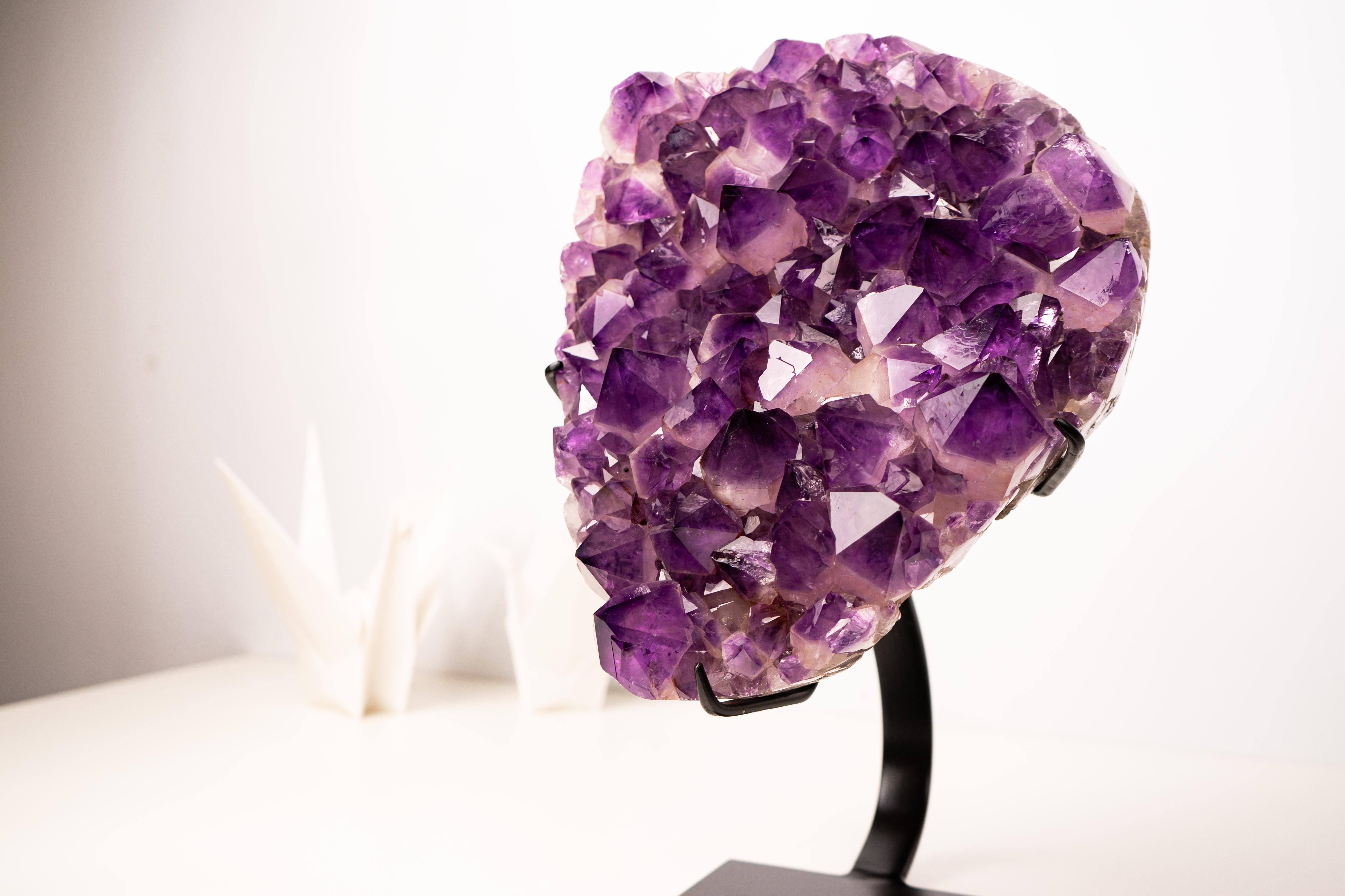 Racimo de amatista brasileña con puntas de jalea de uva estéticas y brillantes

▫️ Descripción

Impresionante y escultural, este racimo de amatista presenta puntas raras, alargadas, vidriosas y lustrosas de un profundo tono púrpura, mostrando