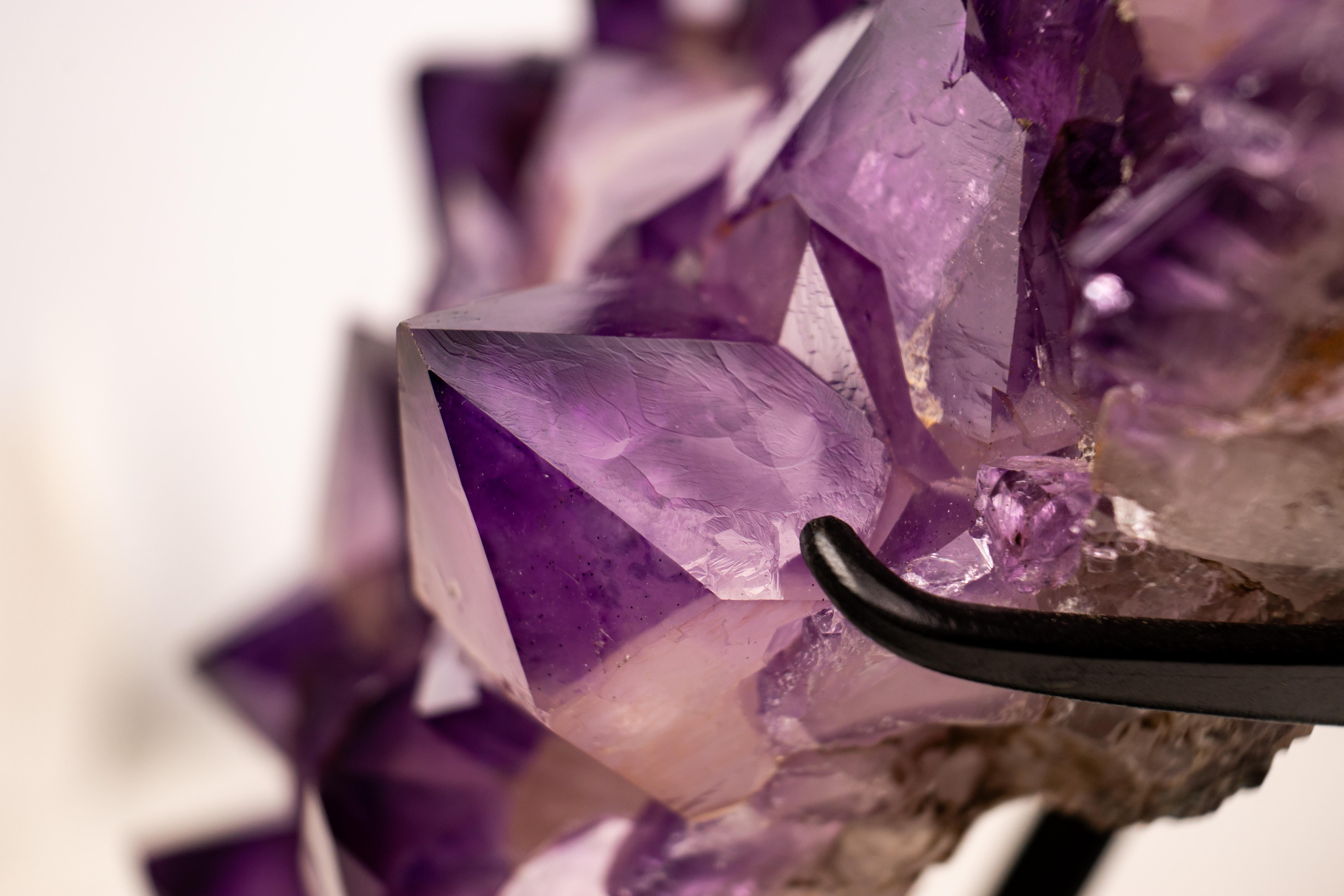 Magnífico Racimo de Amatista Gelatinosa-Púrpura con Grandes Puntas de Cristal de Amatista Siglo XXI y contemporáneo en venta