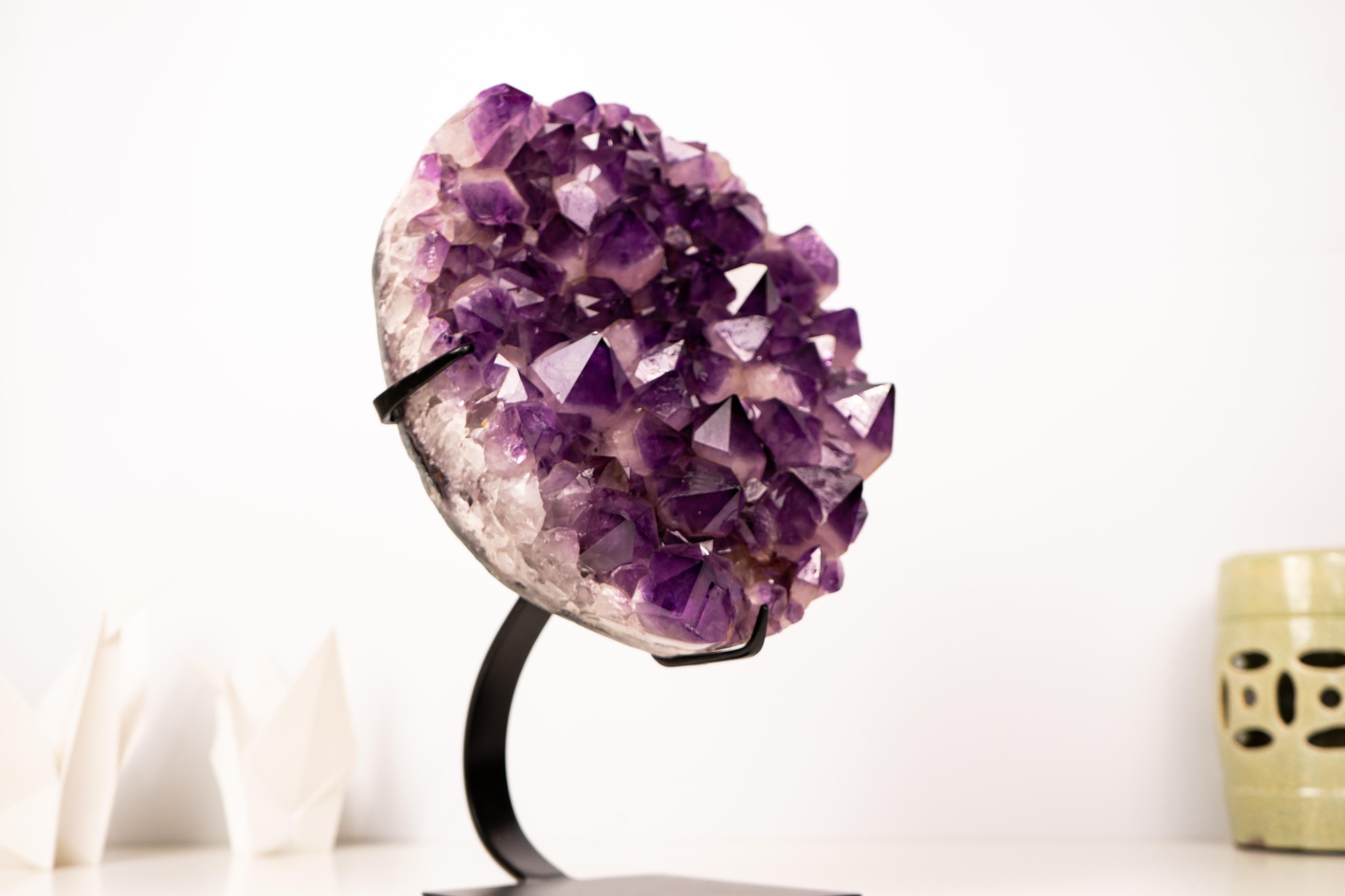 Magnífico Racimo de Amatista Gelatinosa-Púrpura con Grandes Puntas de Cristal de Amatista en venta 3