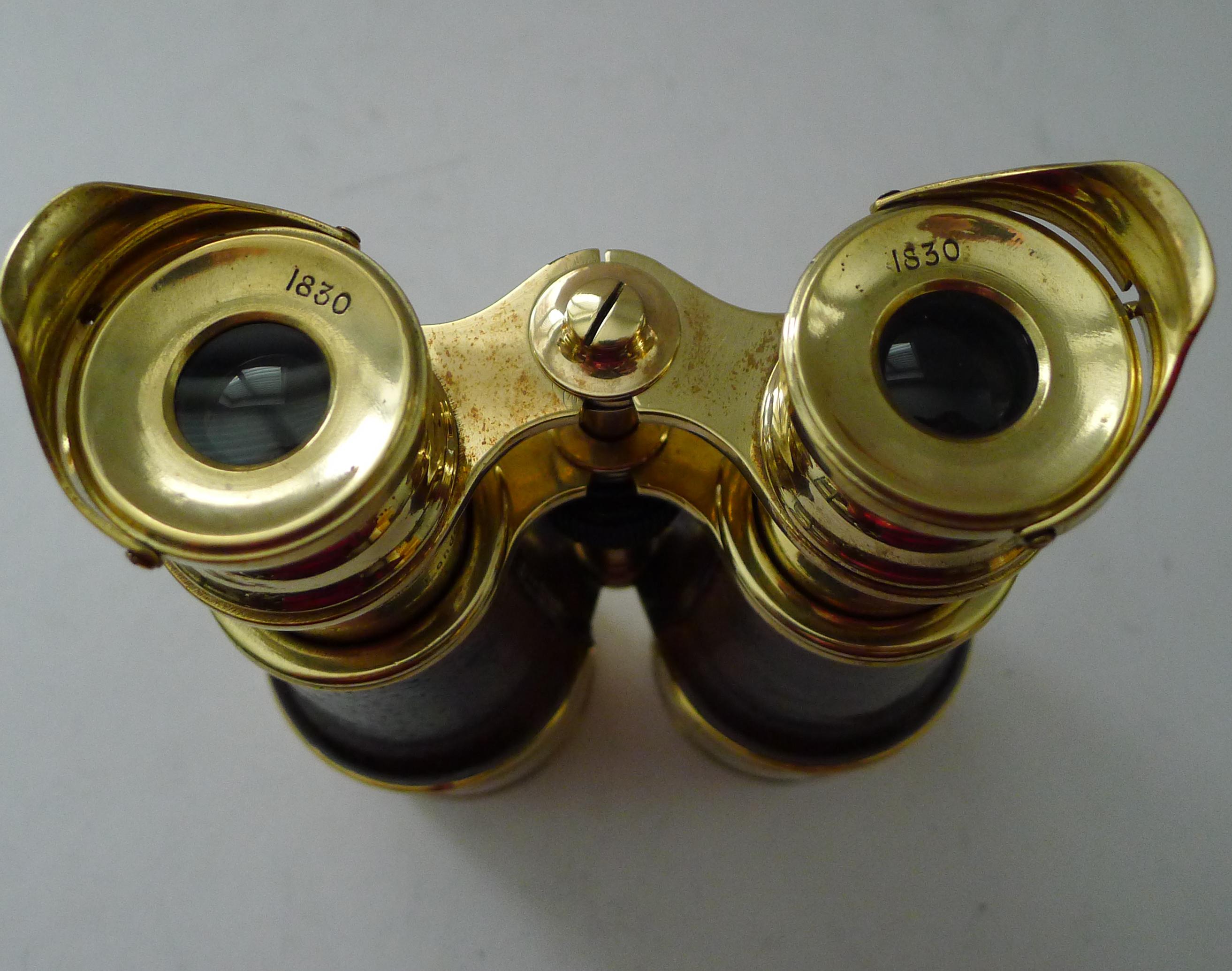 Britannico Superba coppia di grandi binocoli inglesi antichi di W. Watson & Sons, Londra in vendita