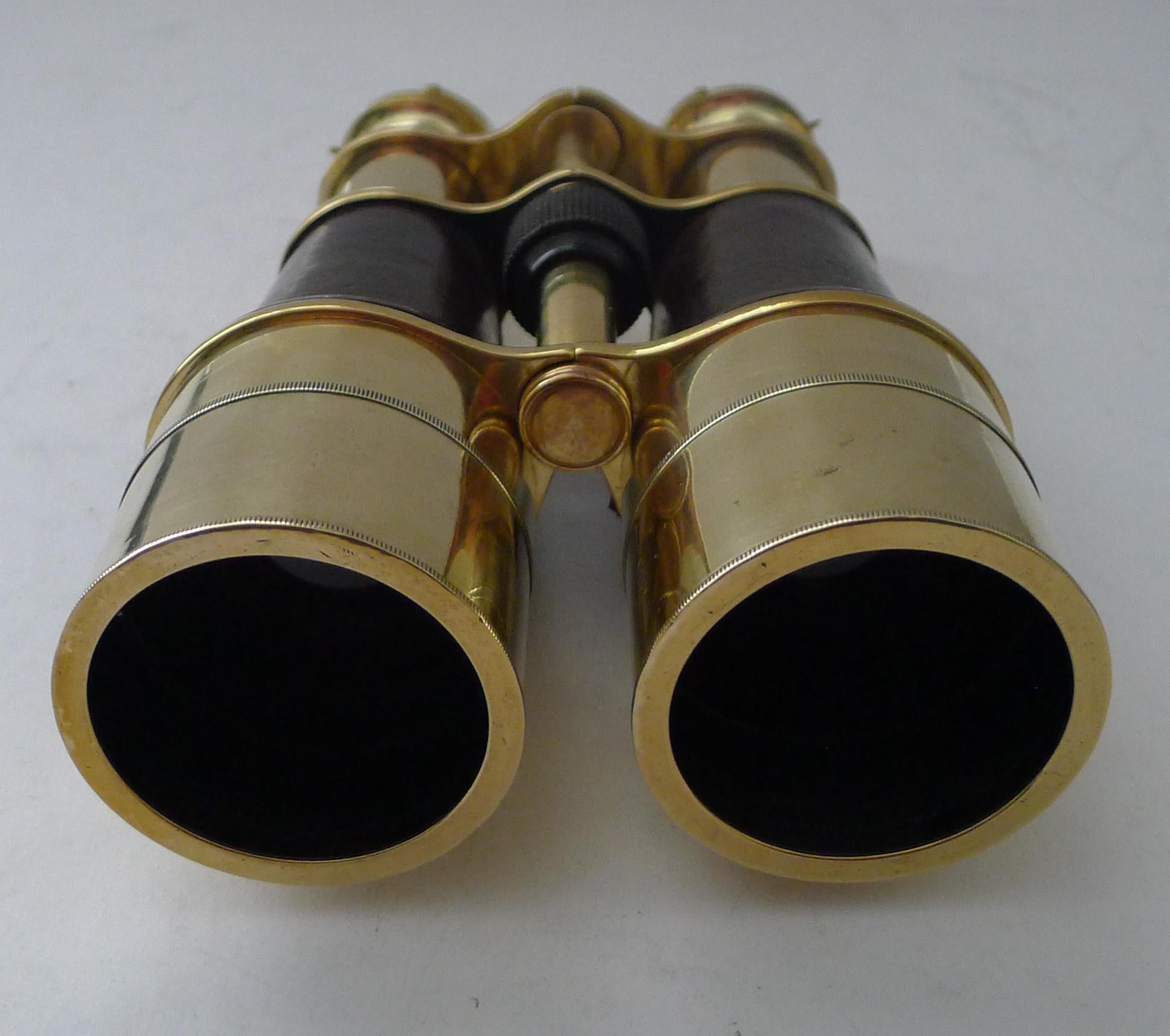 Superba coppia di grandi binocoli inglesi antichi di W. Watson & Sons, Londra in vendita 1