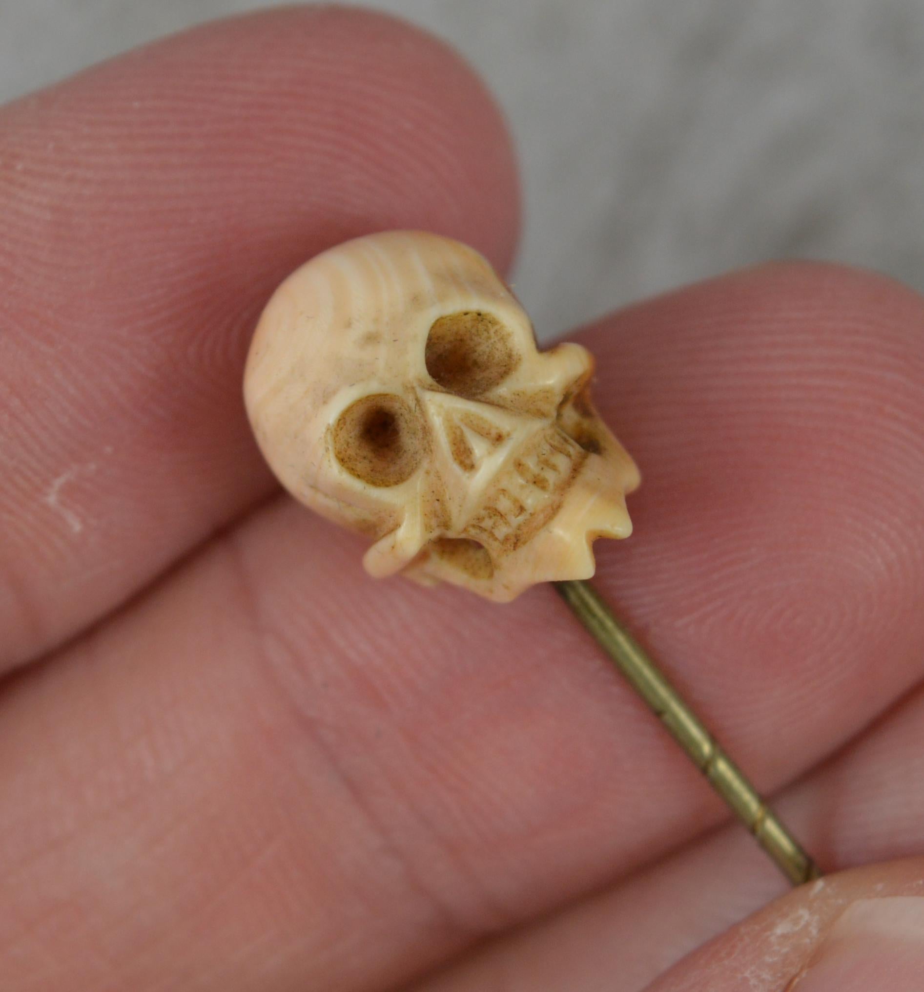 Superb Mid Victorian Hand Carved Coral Skull Head Stick Tie Pin in Box 1