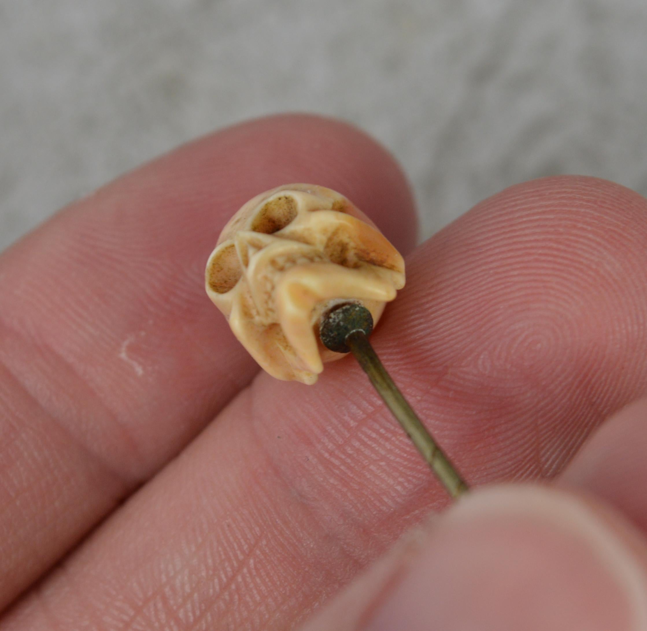 Superb Mid Victorian Hand Carved Coral Skull Head Stick Tie Pin in Box 2