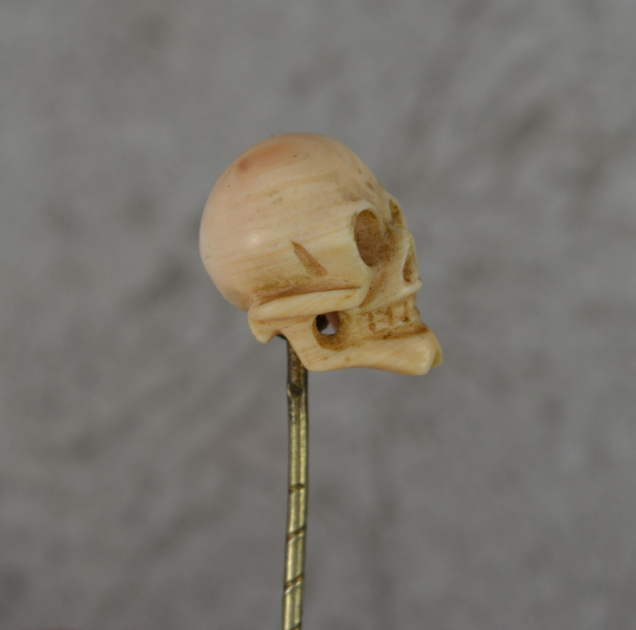 Contemporary Superb Mid Victorian Hand Carved Coral Skull Head Stick Tie Pin in Box