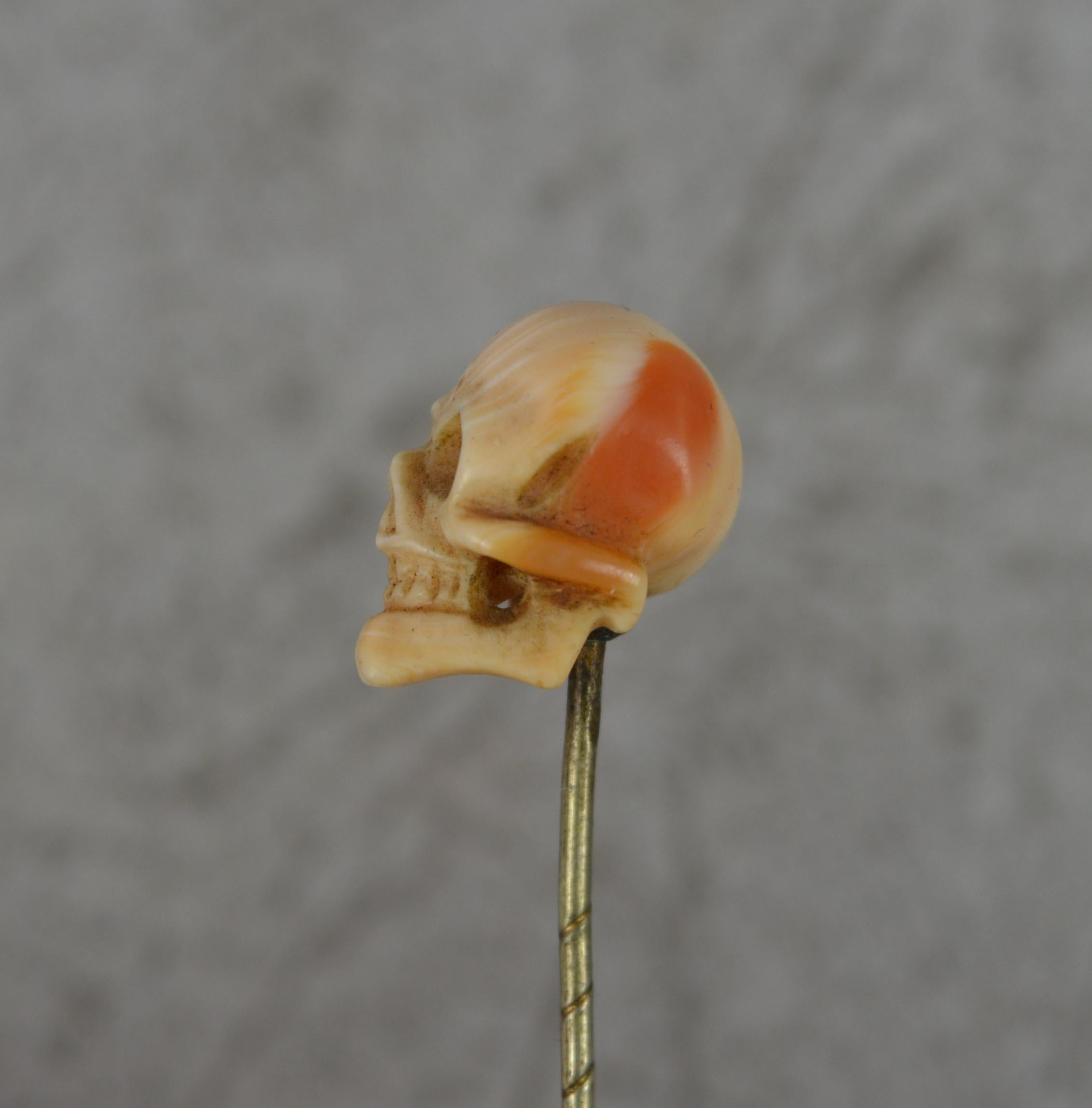 Superb Mid Victorian Hand Carved Coral Skull Head Stick Tie Pin in Box In Good Condition In St Helens, GB