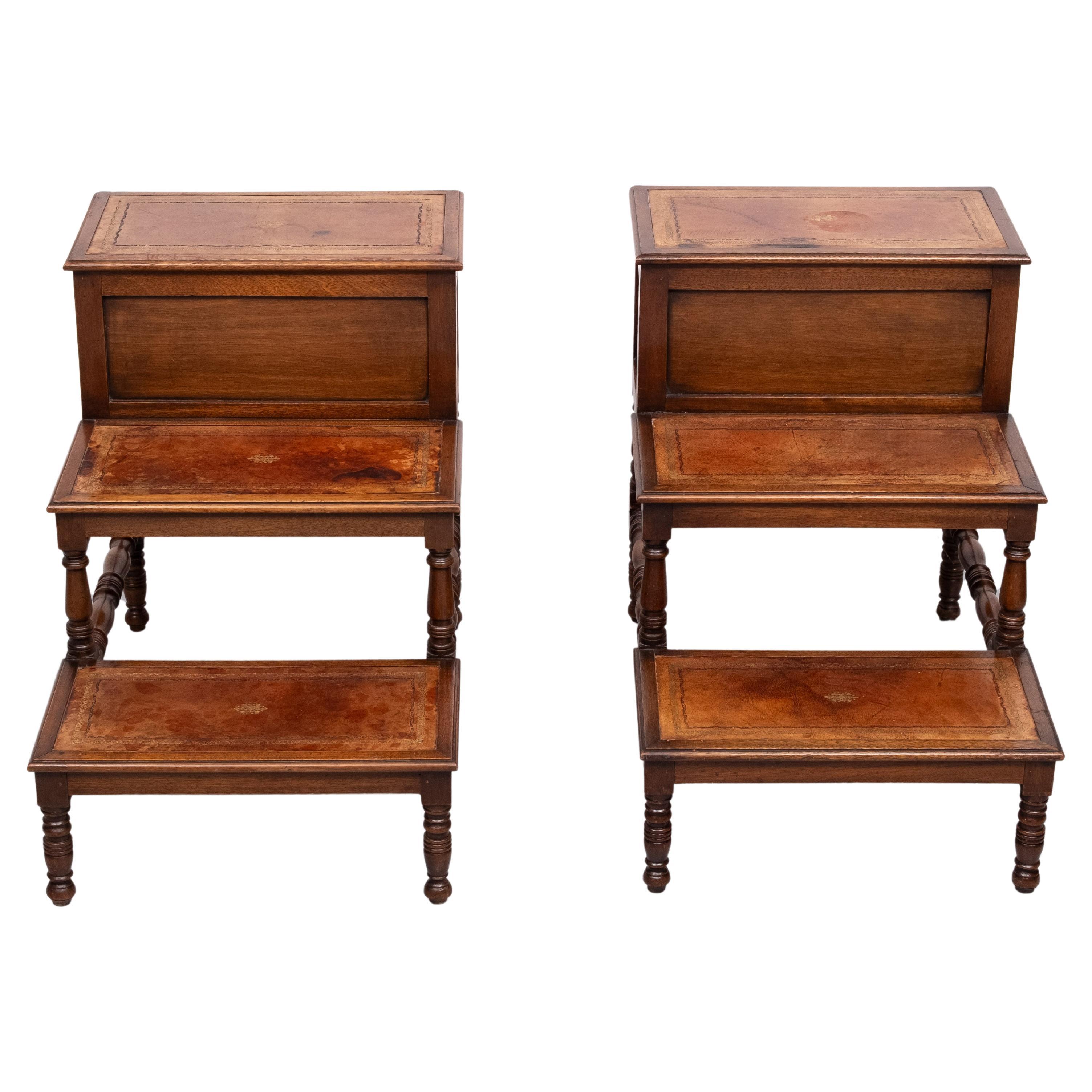 Bellissima coppia di scalini da biblioteca .in mogano massiccio .viene fornita con 
gradini in pelle con rivestimento in oro in rilievo. sul gradino superiore sono presenti alcuni 
stoccaggio . Viene fornito con la giusta quantità di patina.
Pezzi