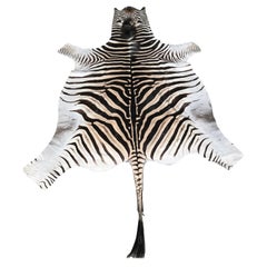 Burchell Zebra Skin in hervorragender Qualität