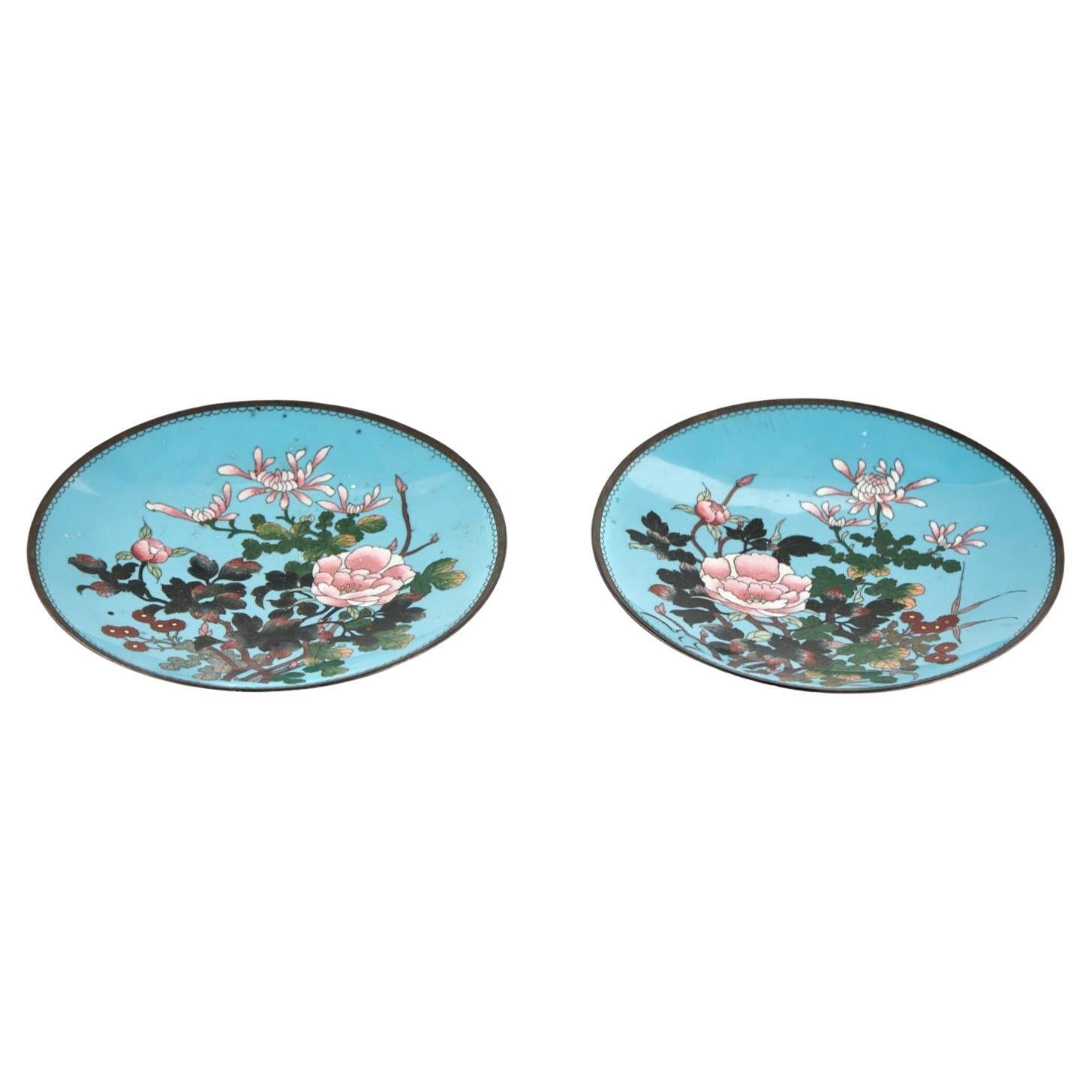 Par de Platos Japoneses Antiguos de Cloisonné de Magnífica Calidad