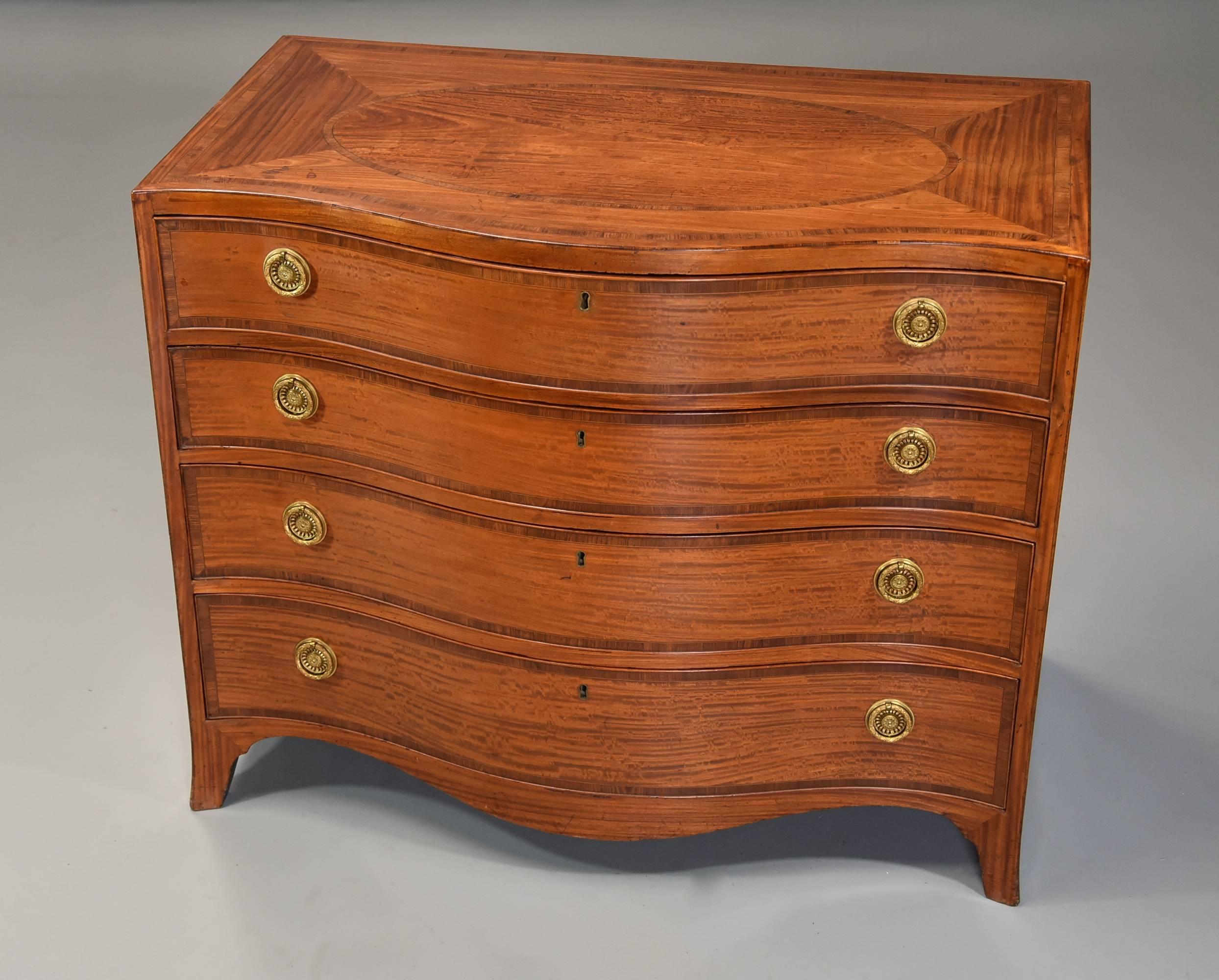 English Superb Quality Serpentine Shaped Satinwood Gentleman's Dressing Chest For Sale