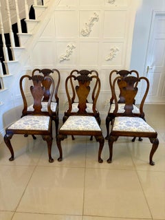 Superb Quality Set of 6 Antique Victorian Carved Burr Walnut Dining Chairs