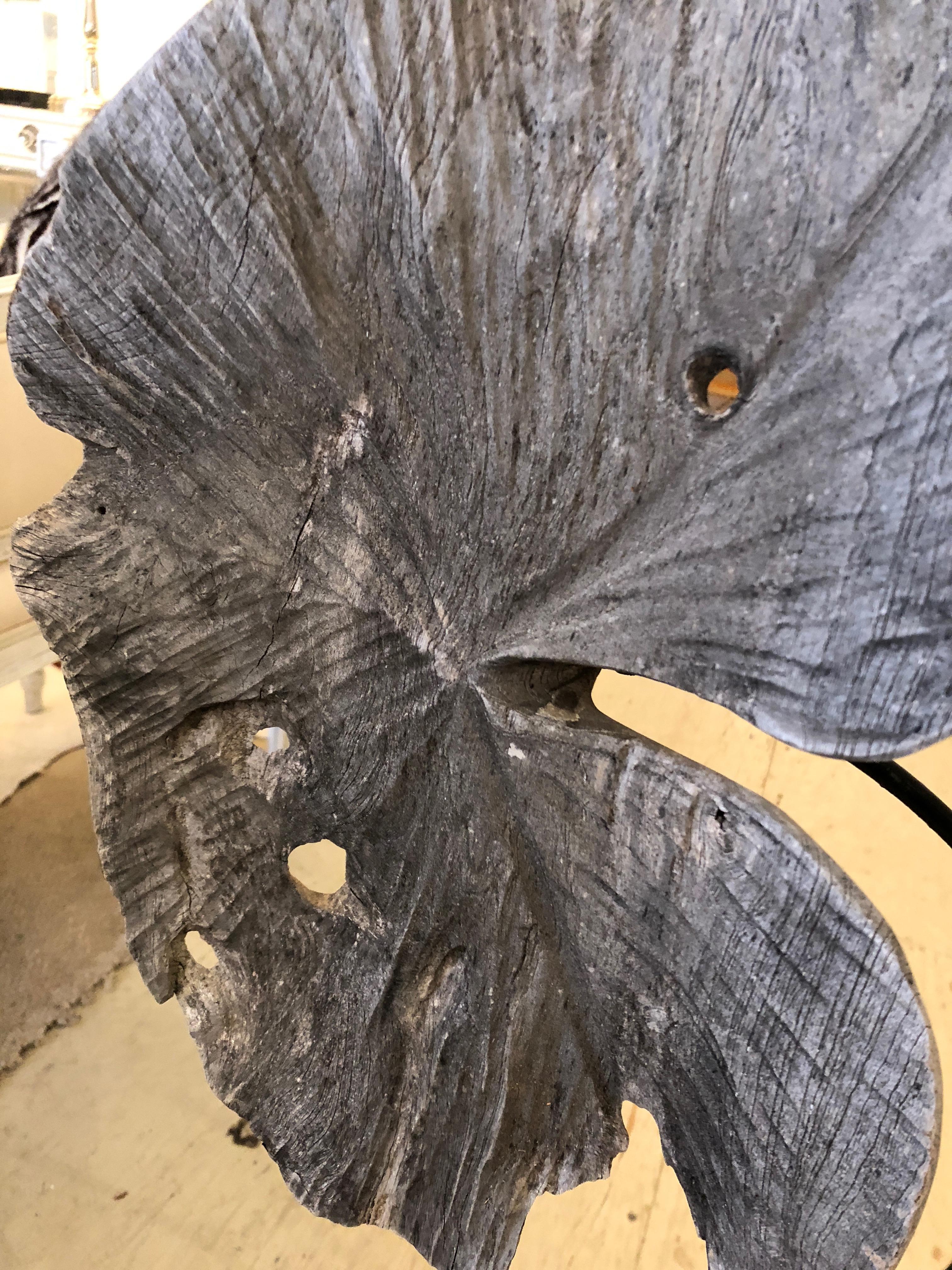 Organic Modern Superb Rare Asian Teak Wood and Black Iron Standing Plant Sculpture