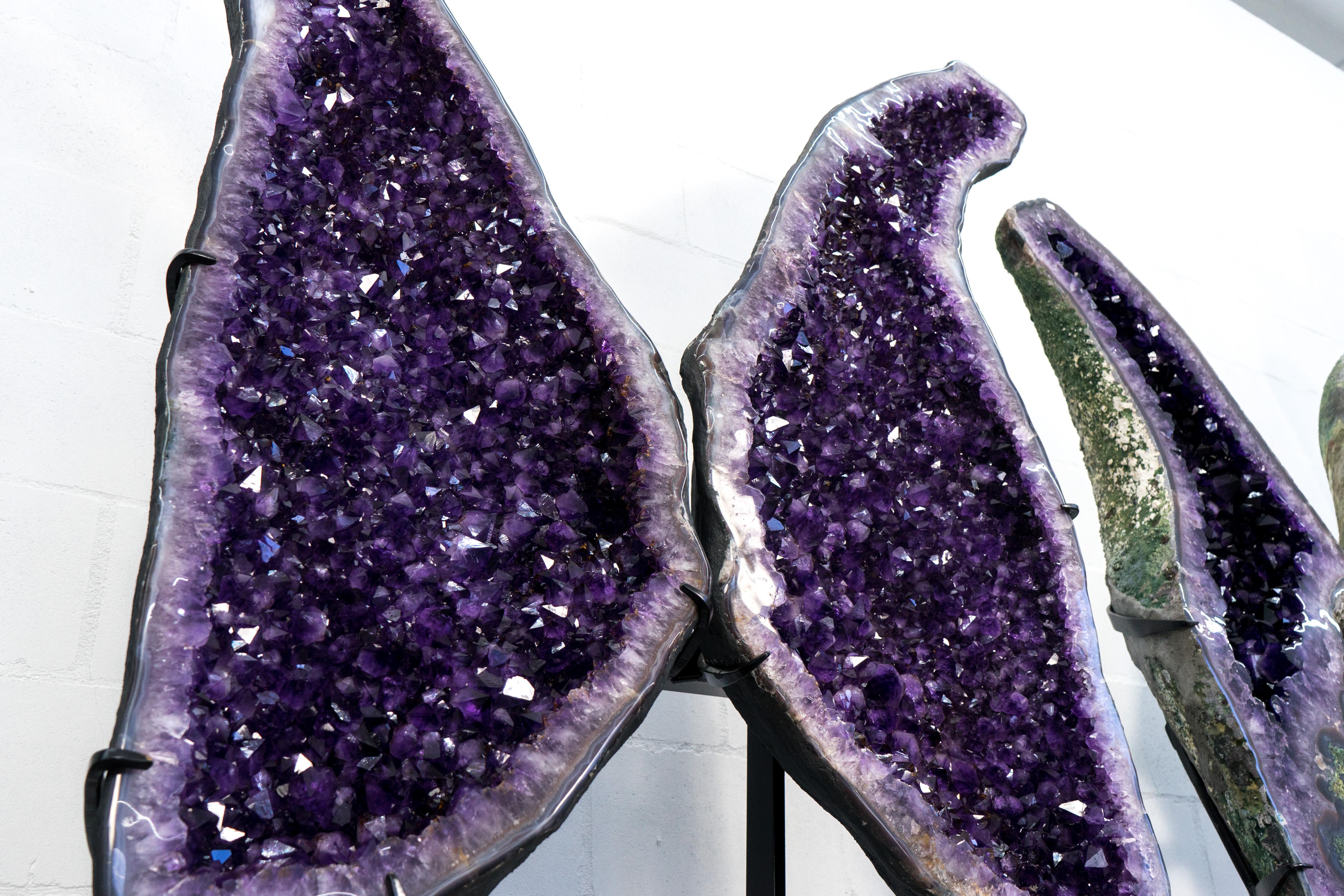 Superba Sculptura X-Large Amethyst Geode Wings con Ametista Viola - Speciale in vendita 4
