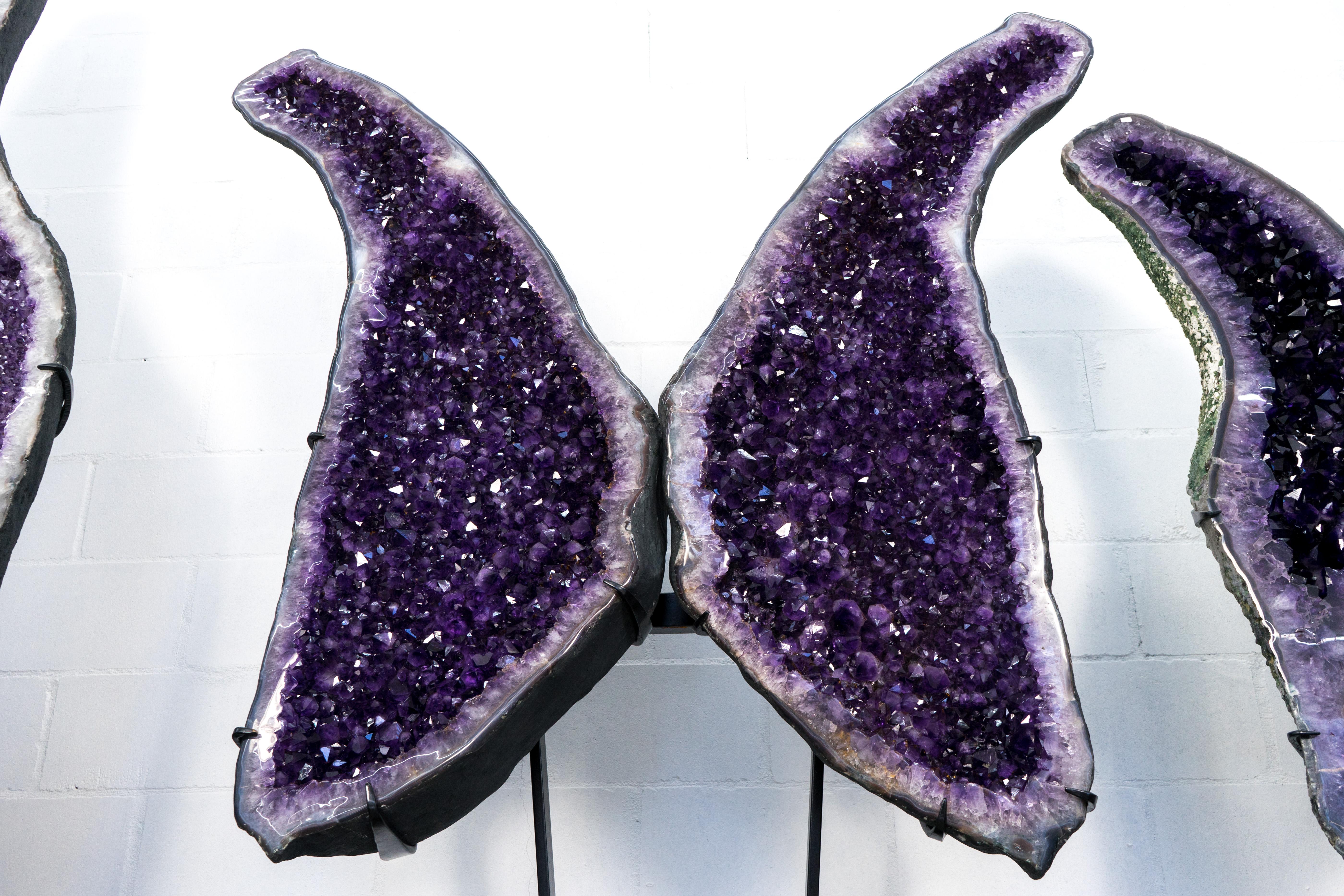 Superba Sculptura X-Large Amethyst Geode Wings con Ametista Viola - Speciale in vendita 5
