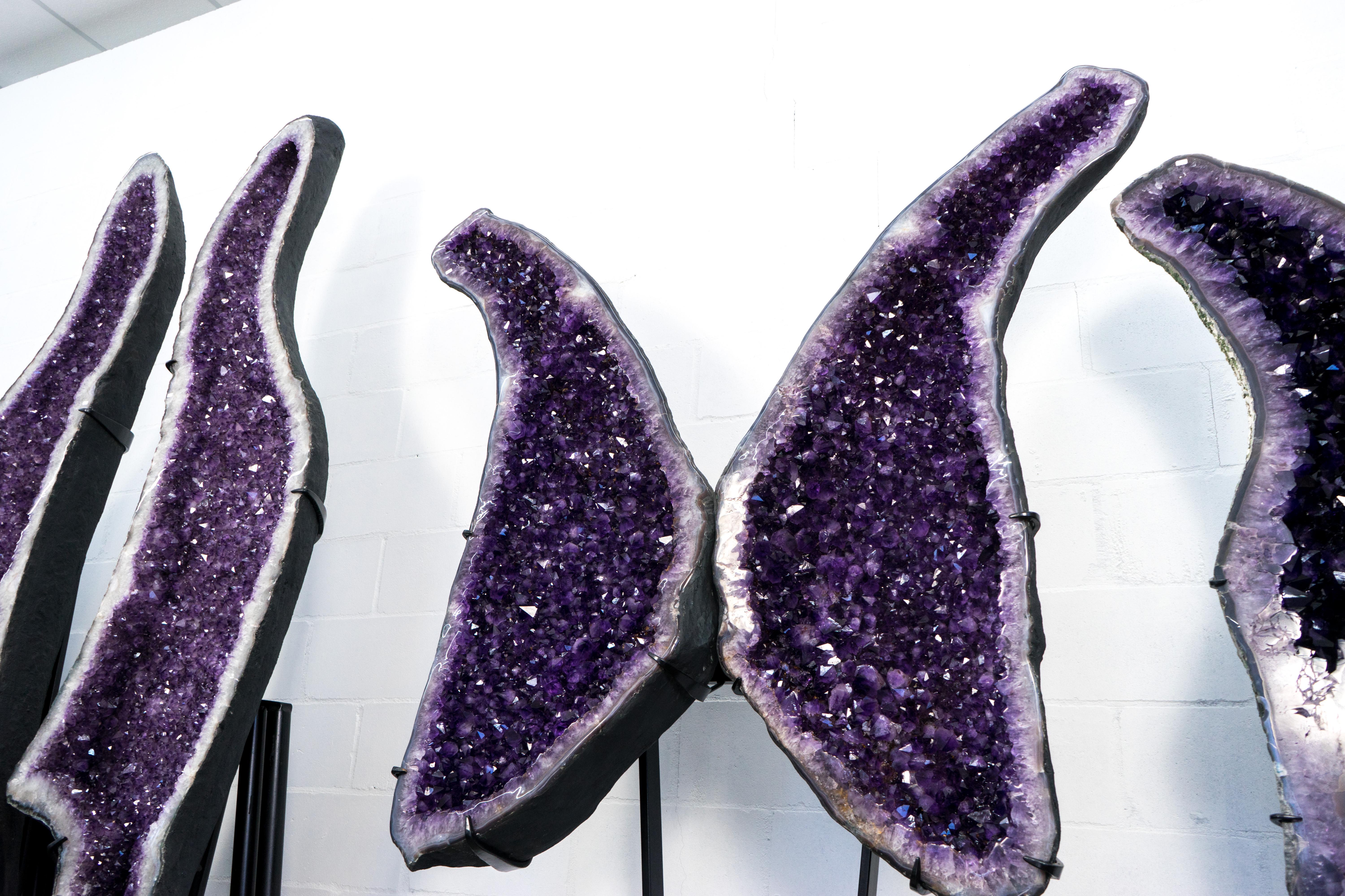 Superba Sculptura X-Large Amethyst Geode Wings con Ametista Viola - Speciale in vendita 9