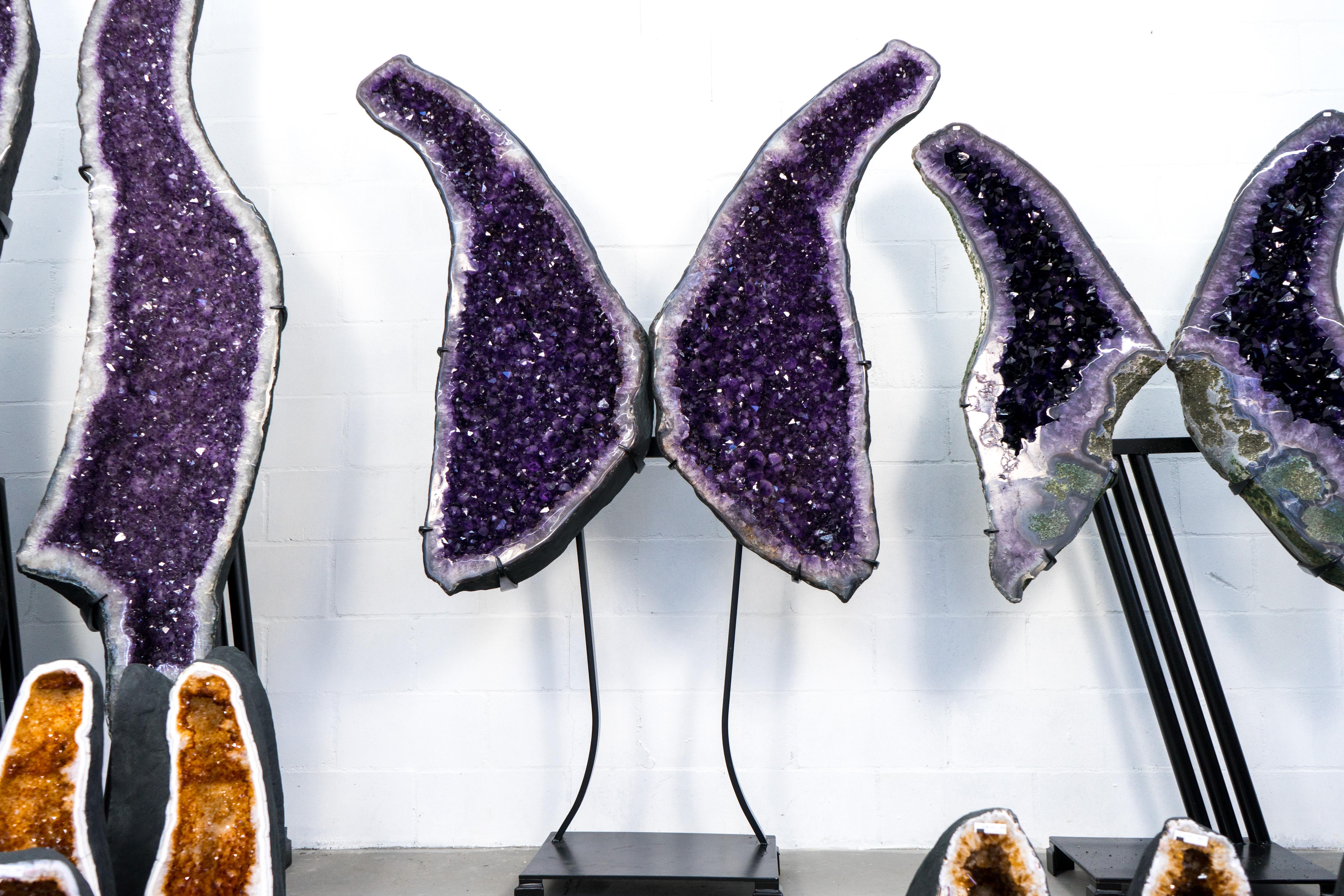 Superba Sculptura X-Large Amethyst Geode Wings con Ametista Viola - Speciale in vendita 10