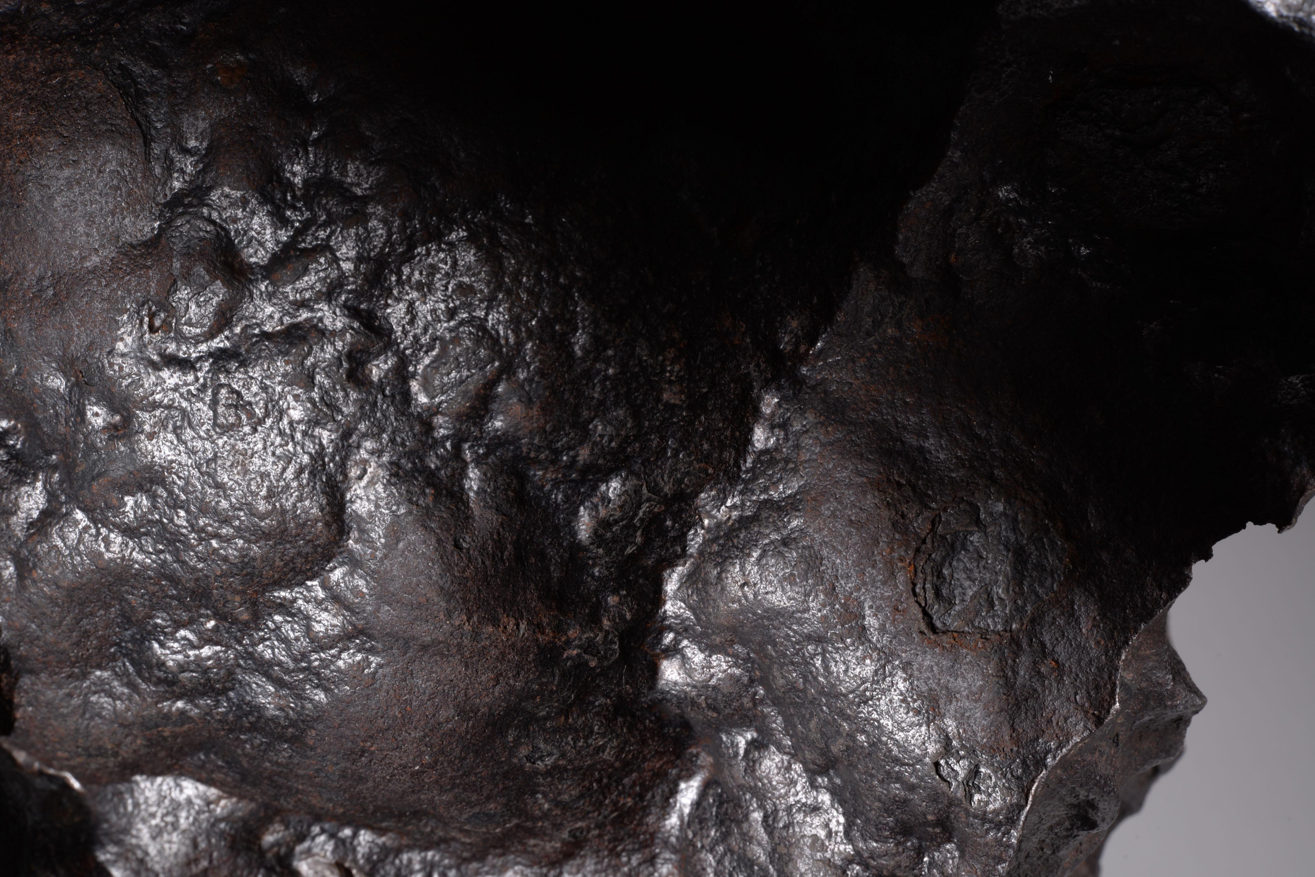 Sculptural Gibeon Meteorite In Excellent Condition In London, GB