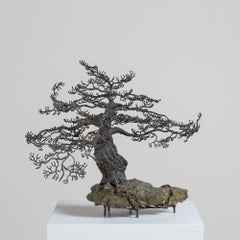 Bronze Sculpture of a Bonsai Oak Tree