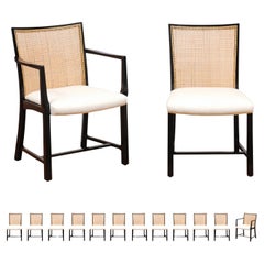 Superb Set 14 Vintage Black Lacquer Cane Chairs by Michael Taylor for Baker