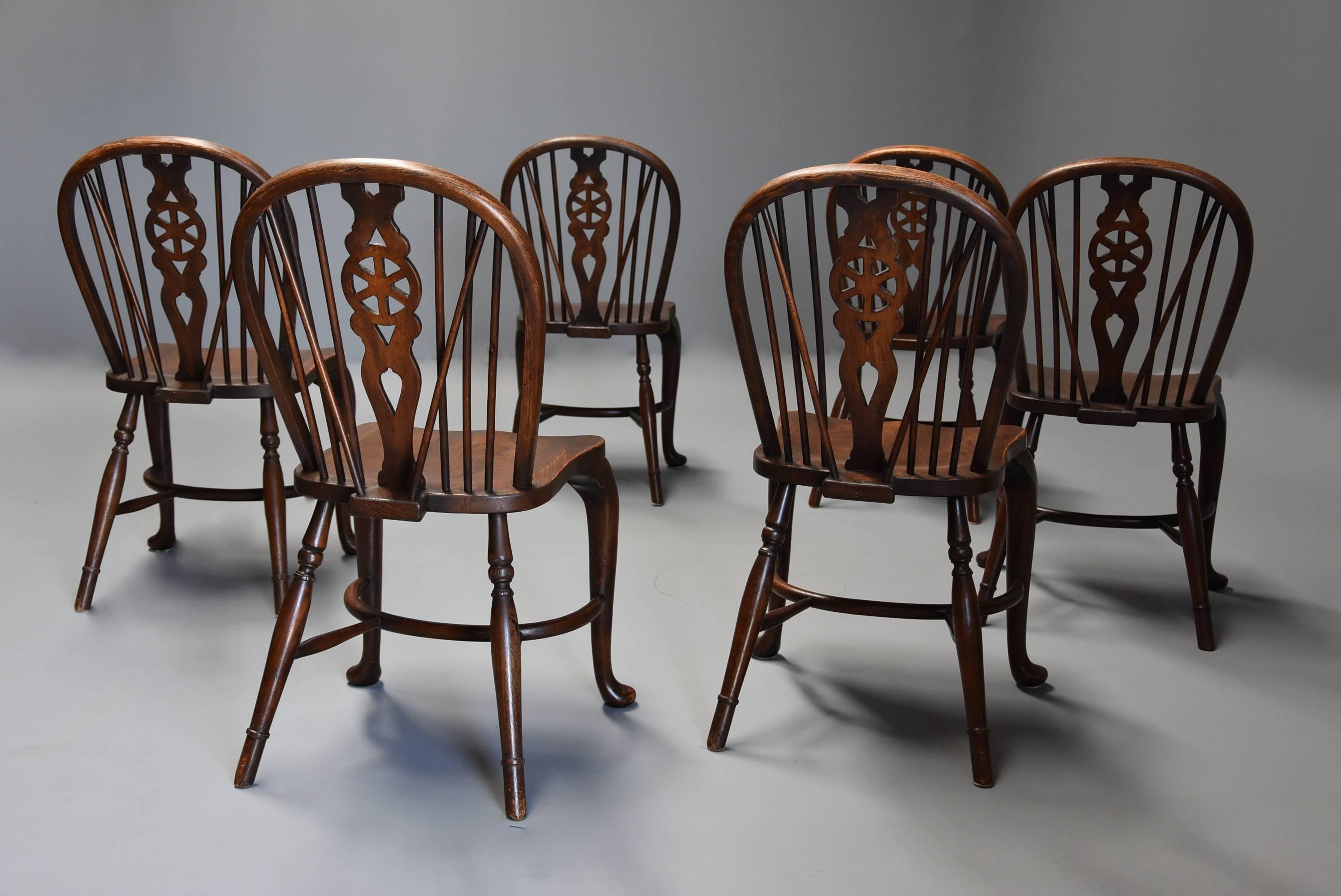 Superb Set of Six Ash and Beech Wheelback Windsor Chairs with Cabriole Leg 2
